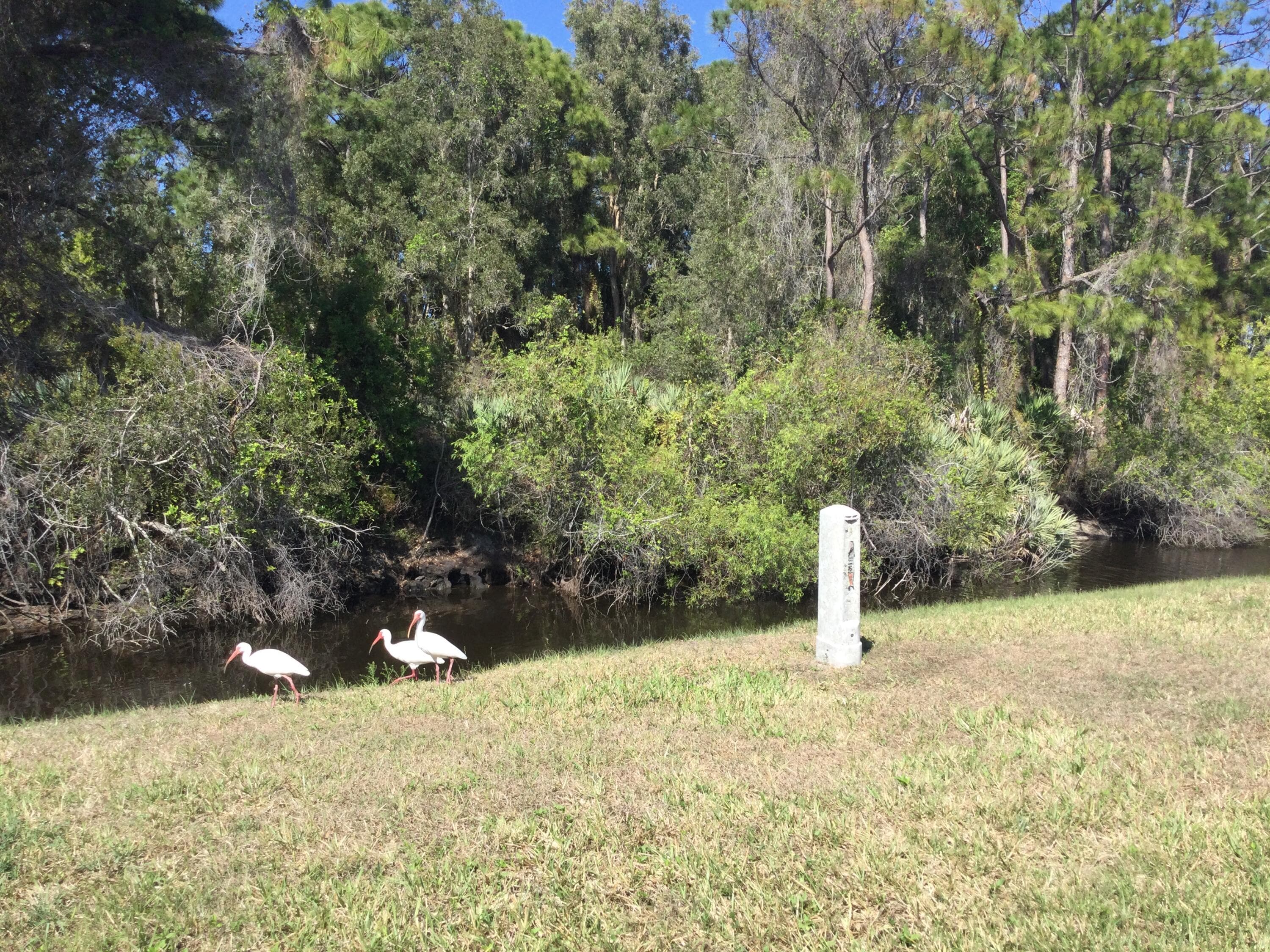 44 Mediterranean Boulevard N, Port St. Lucie, FL 34952 — photo 24 of 26