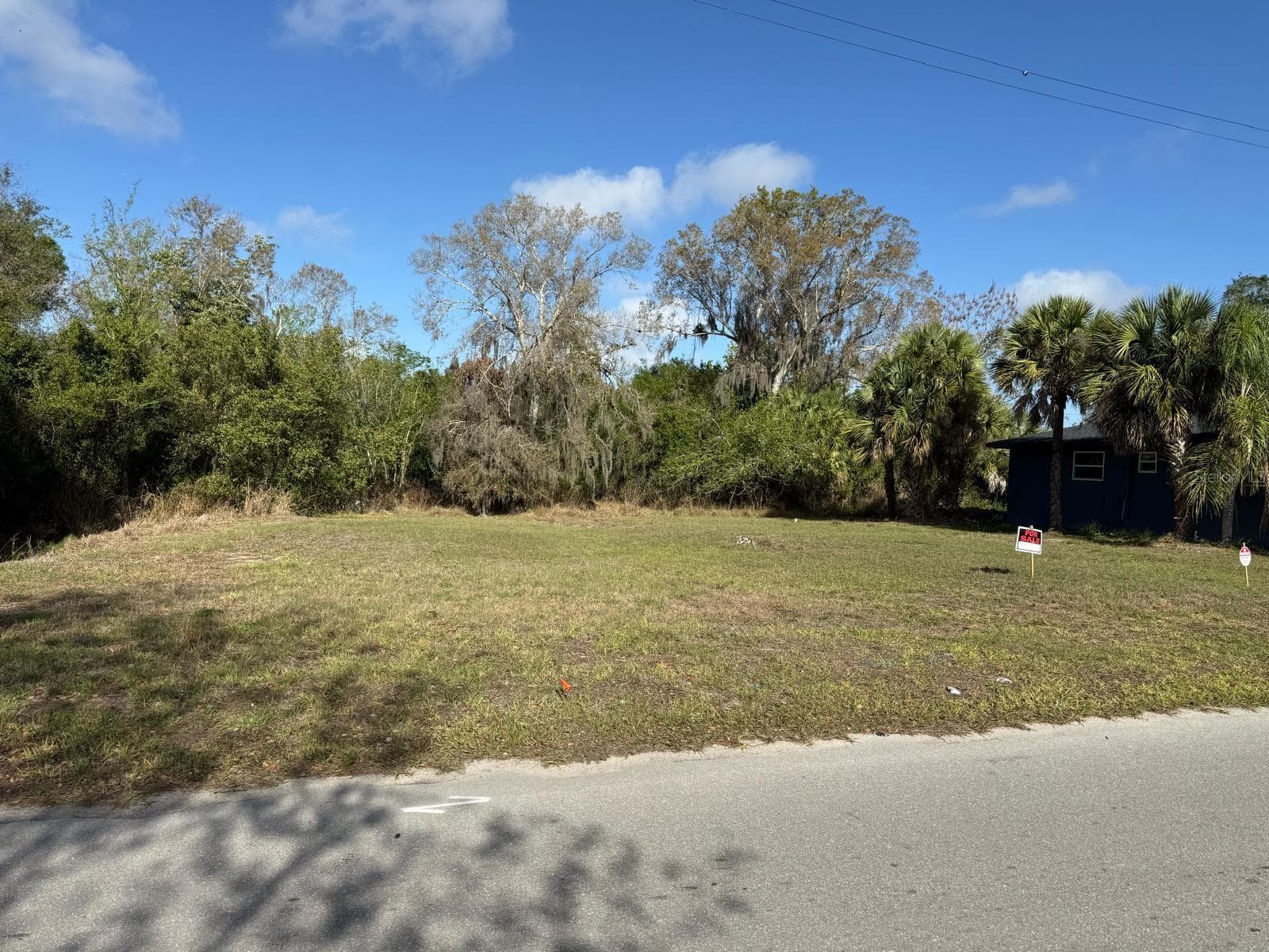 228 Singleton Avenue, Arcadia, FL 34266 — photo 5 of 7