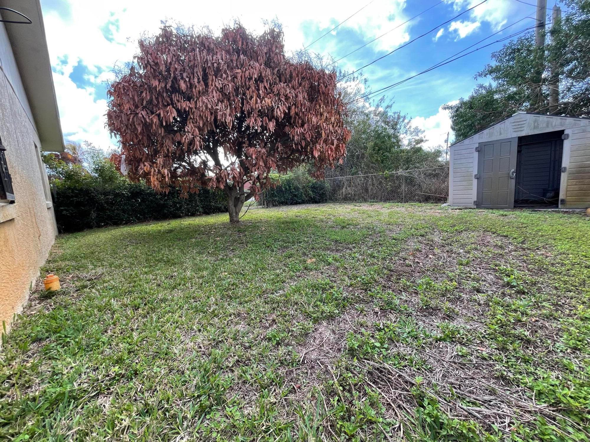 3101 Avenue T, Fort Pierce, FL 34947 — photo 24 of 24