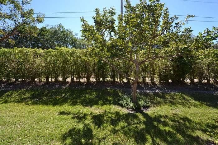 2788 Wood Fern Drive, Boynton Beach, FL 33436 — photo 38 of 39