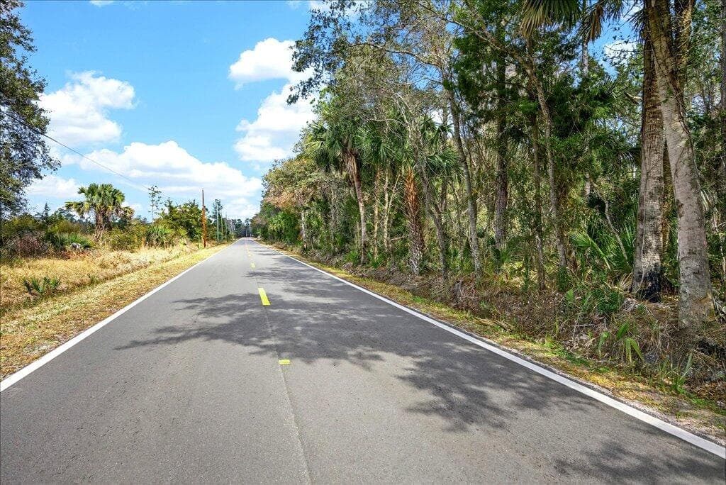 0 Old Haw Creek Road, Bunnell, FL 32110 — photo 14 of 25
