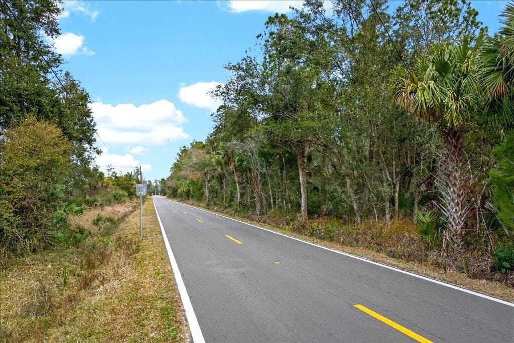 0 Old Haw Creek Road, Bunnell, FL 32110 — photo 24 of 25