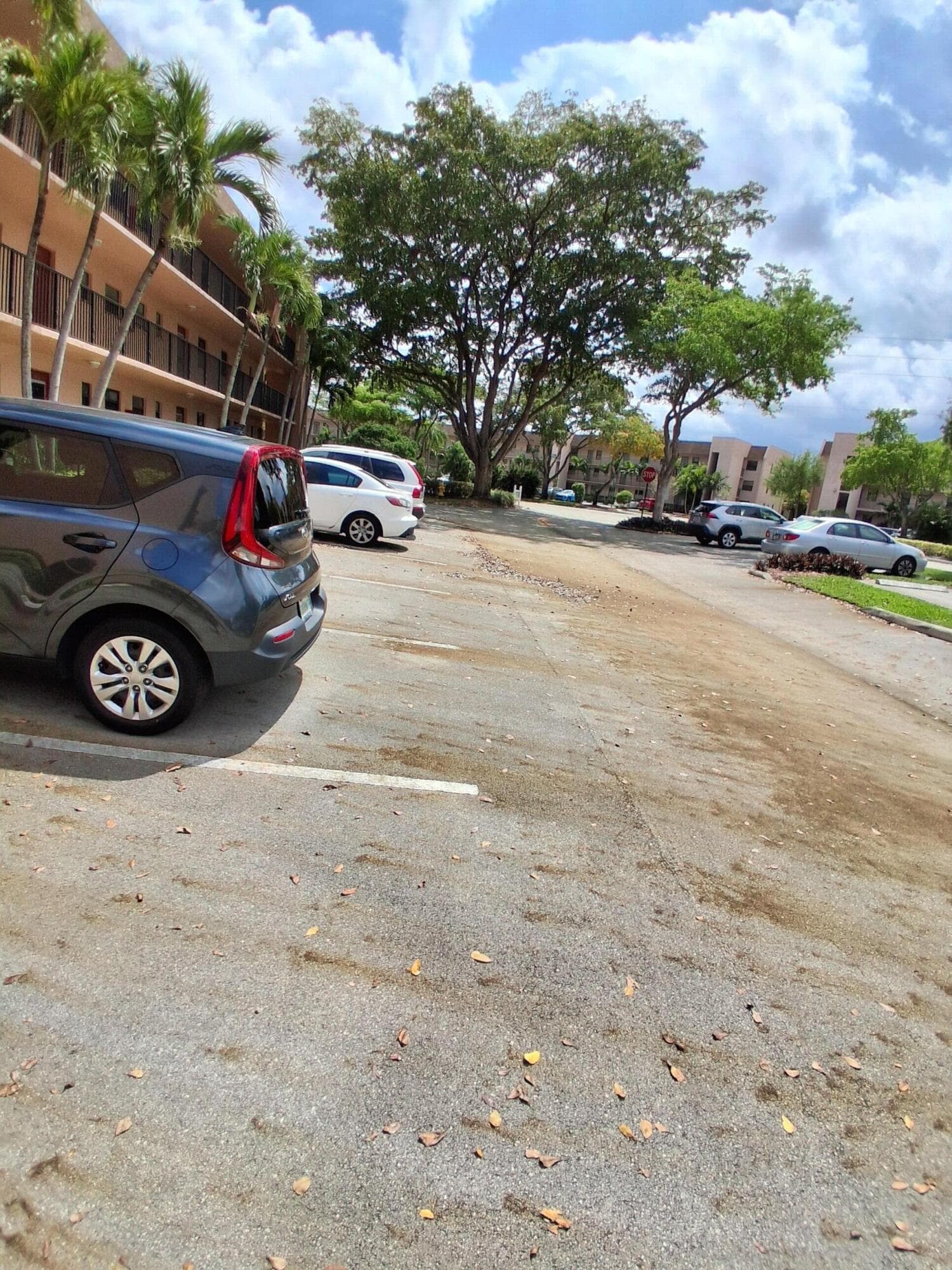 10303 Sunrise Lakes Boulevard 103, Sunrise, FL 33322 — photo 3 of 5