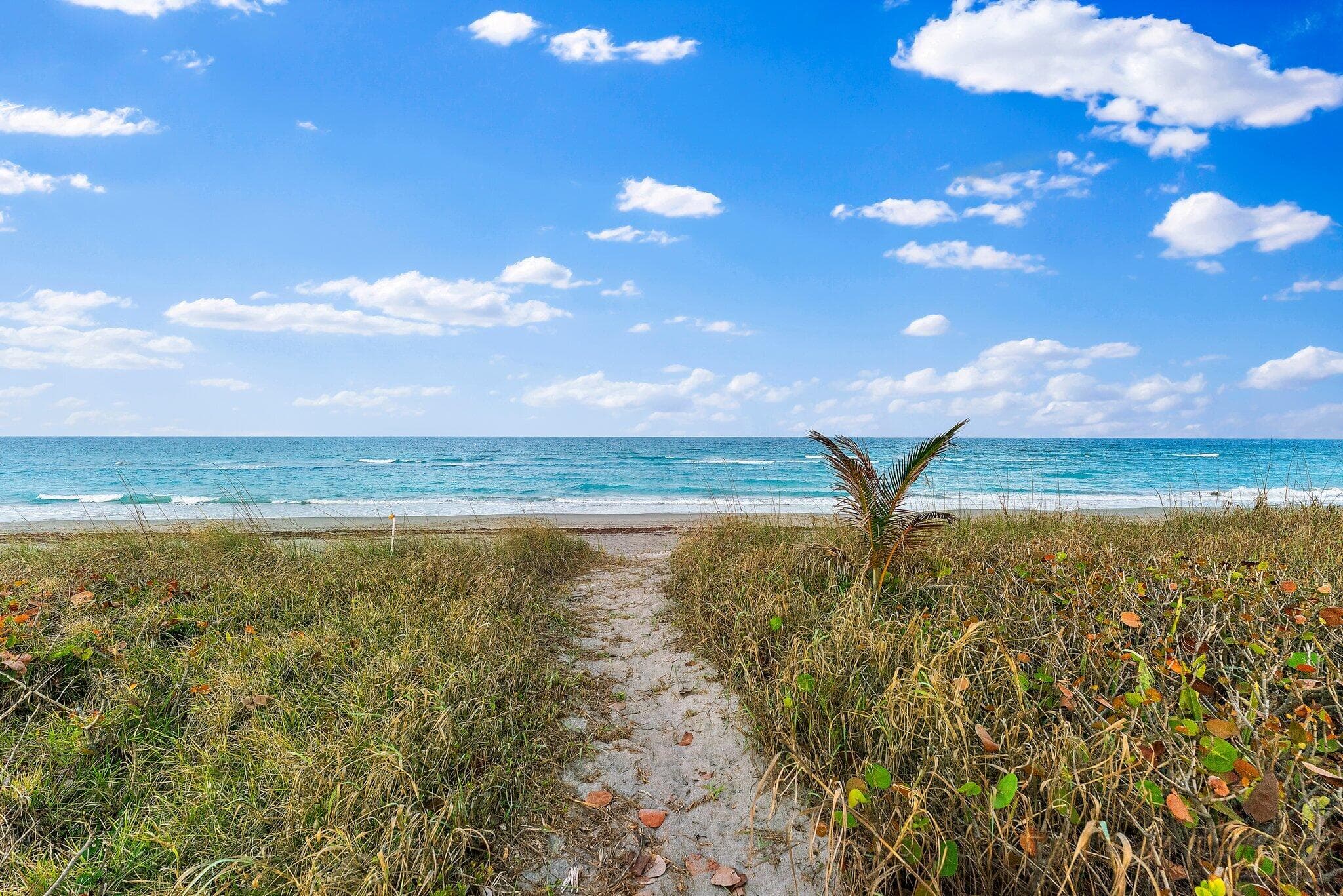 31 N Beach Road, Jupiter Island, FL 33455 — photo 13 of 26