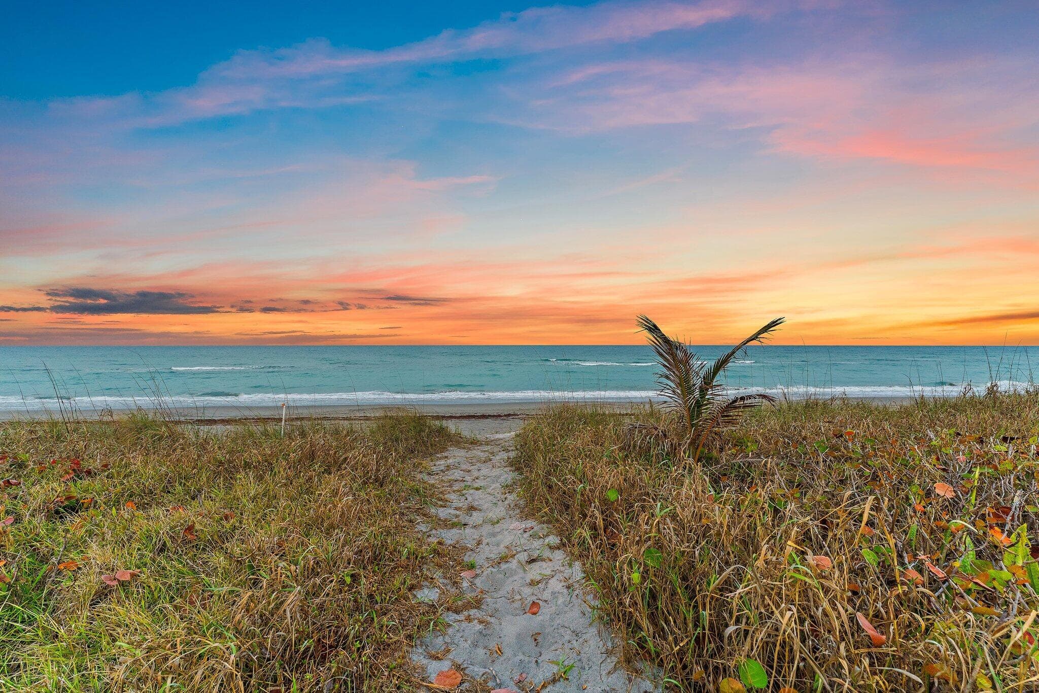 31 N Beach Road, Jupiter Island, FL 33455 — photo 17 of 26