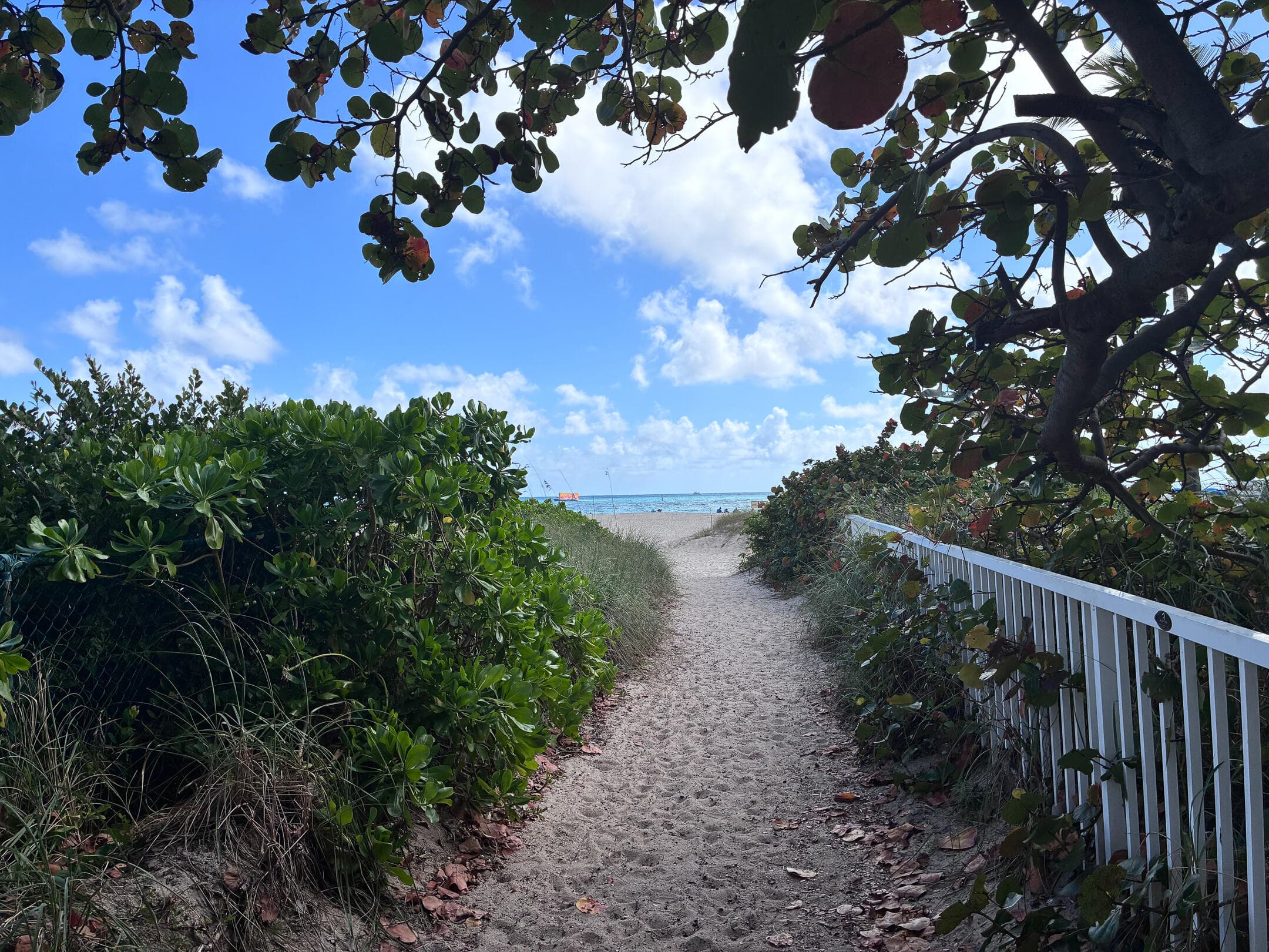 2000 S Ocean Drive 810, Fort Lauderdale, FL 33316 — photo 21 of 60