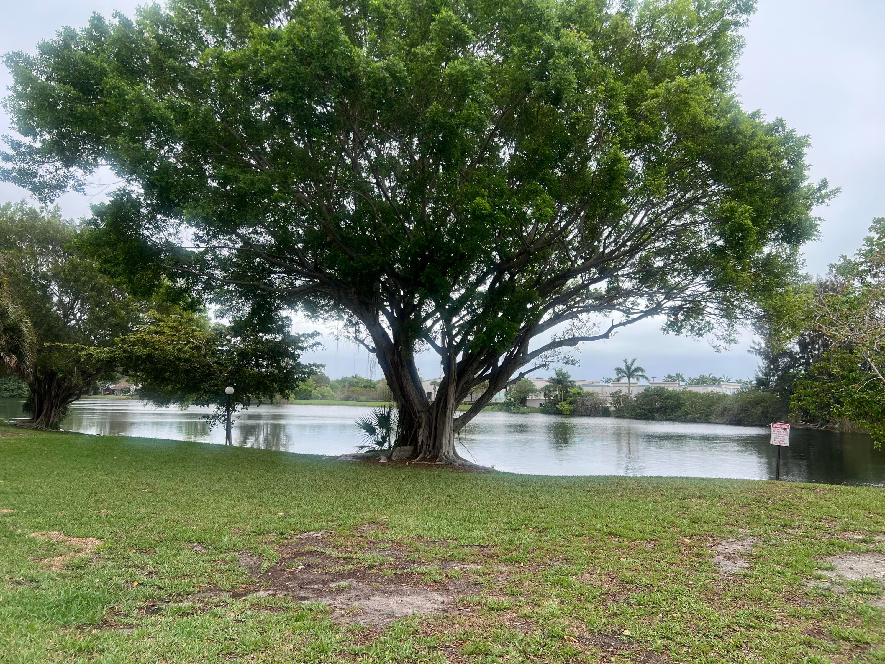 3300 Spanish Moss Terrace 111, Lauderhill, FL 33319 — photo 36 of 45