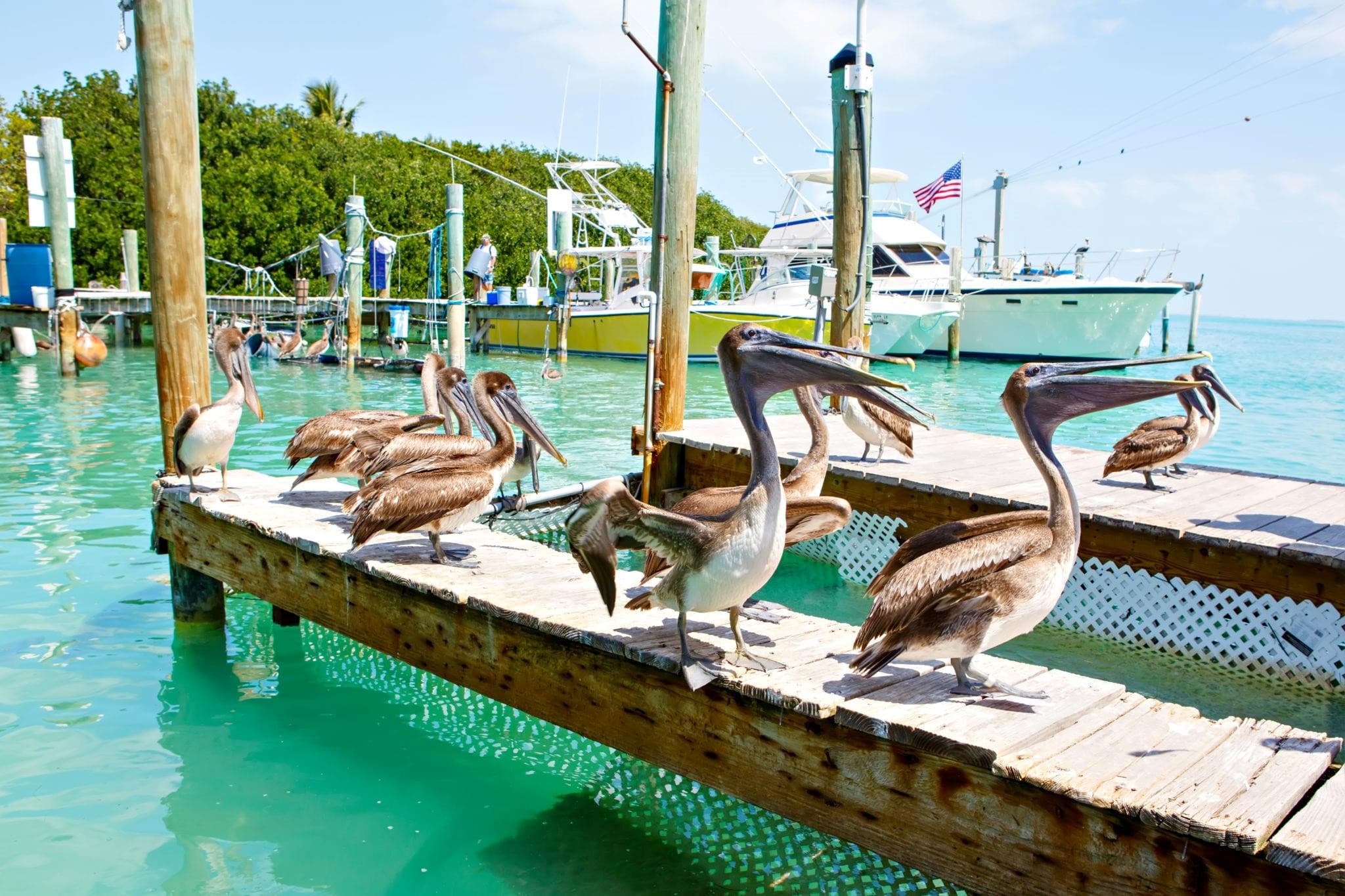164 Ocean Bay Drive 3-c, Key Largo, FL 33037 — photo 17 of 19