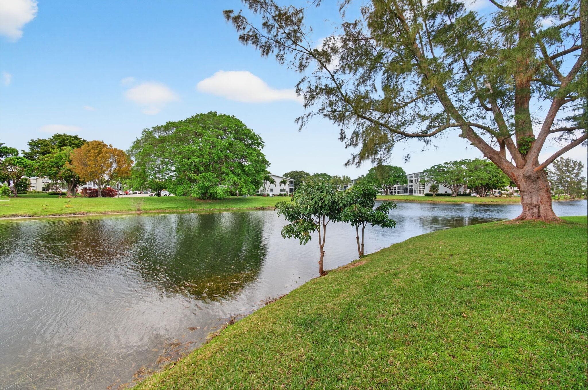 1121 Cambridge F, Deerfield Beach, FL 33442 — photo 43 of 59