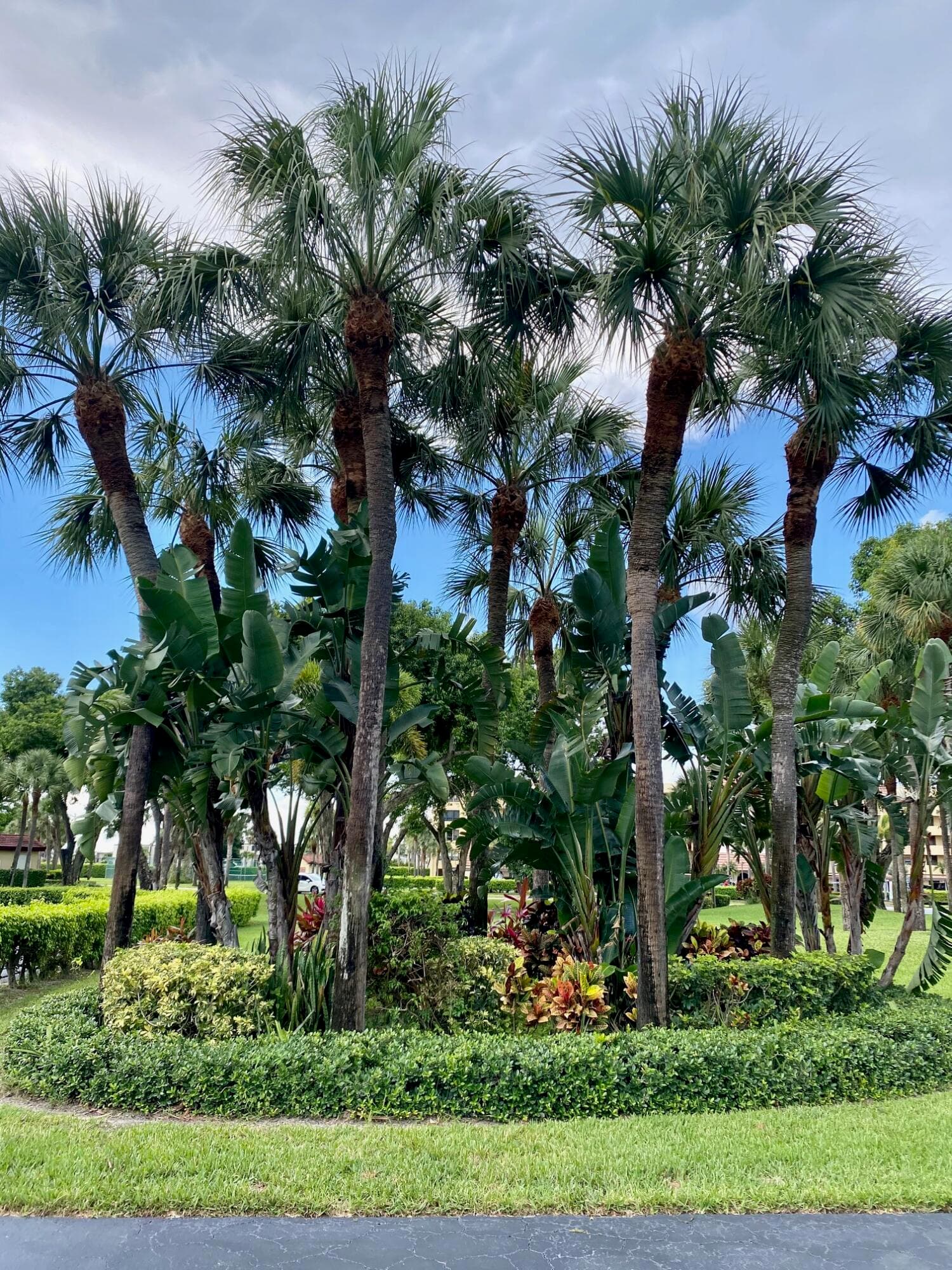9165 SW 14th Street 1407, Boca Raton, FL 33428 — photo 40 of 45