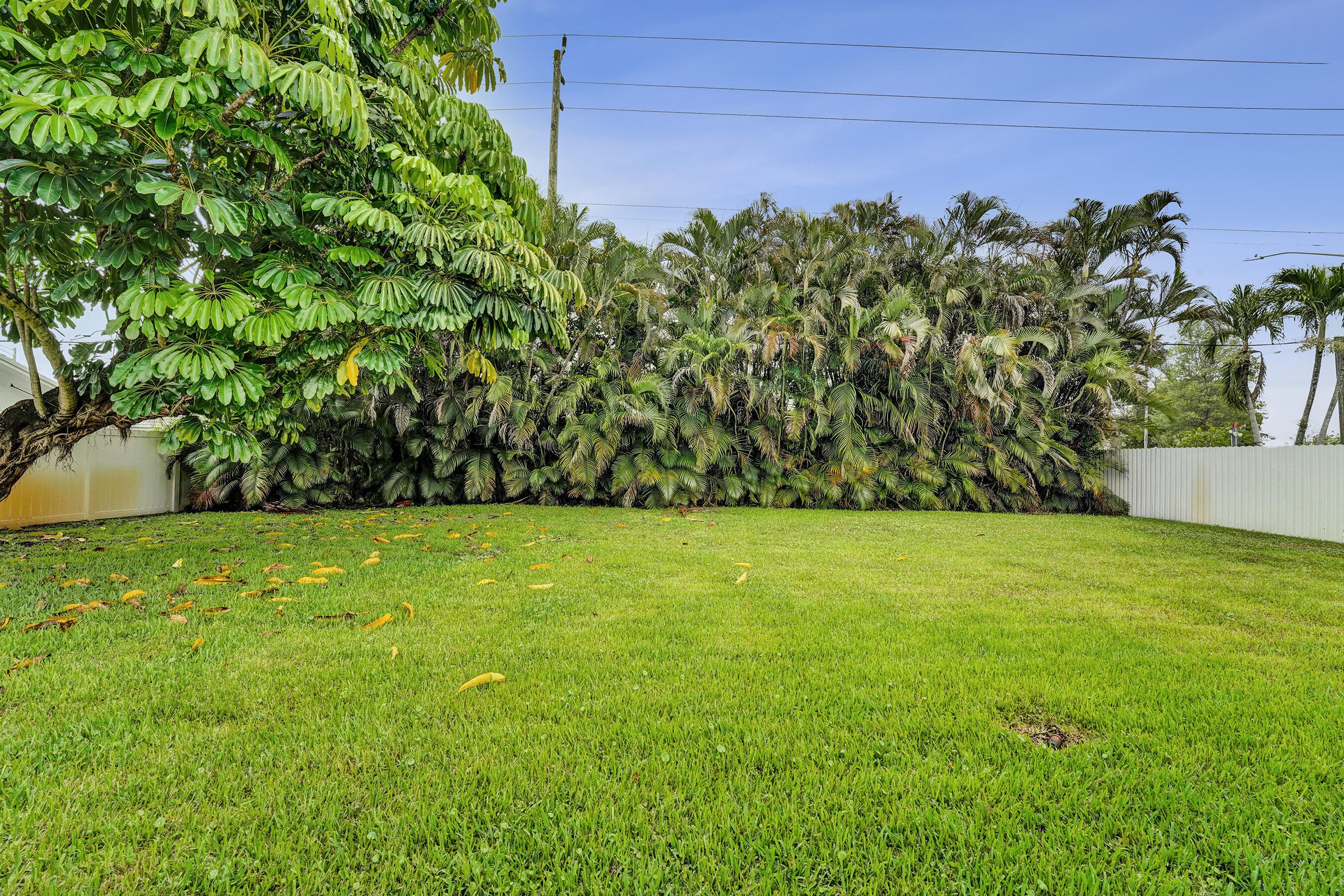 8650 SW 51st Street, Cooper City, FL 33328 — photo 7 of 56