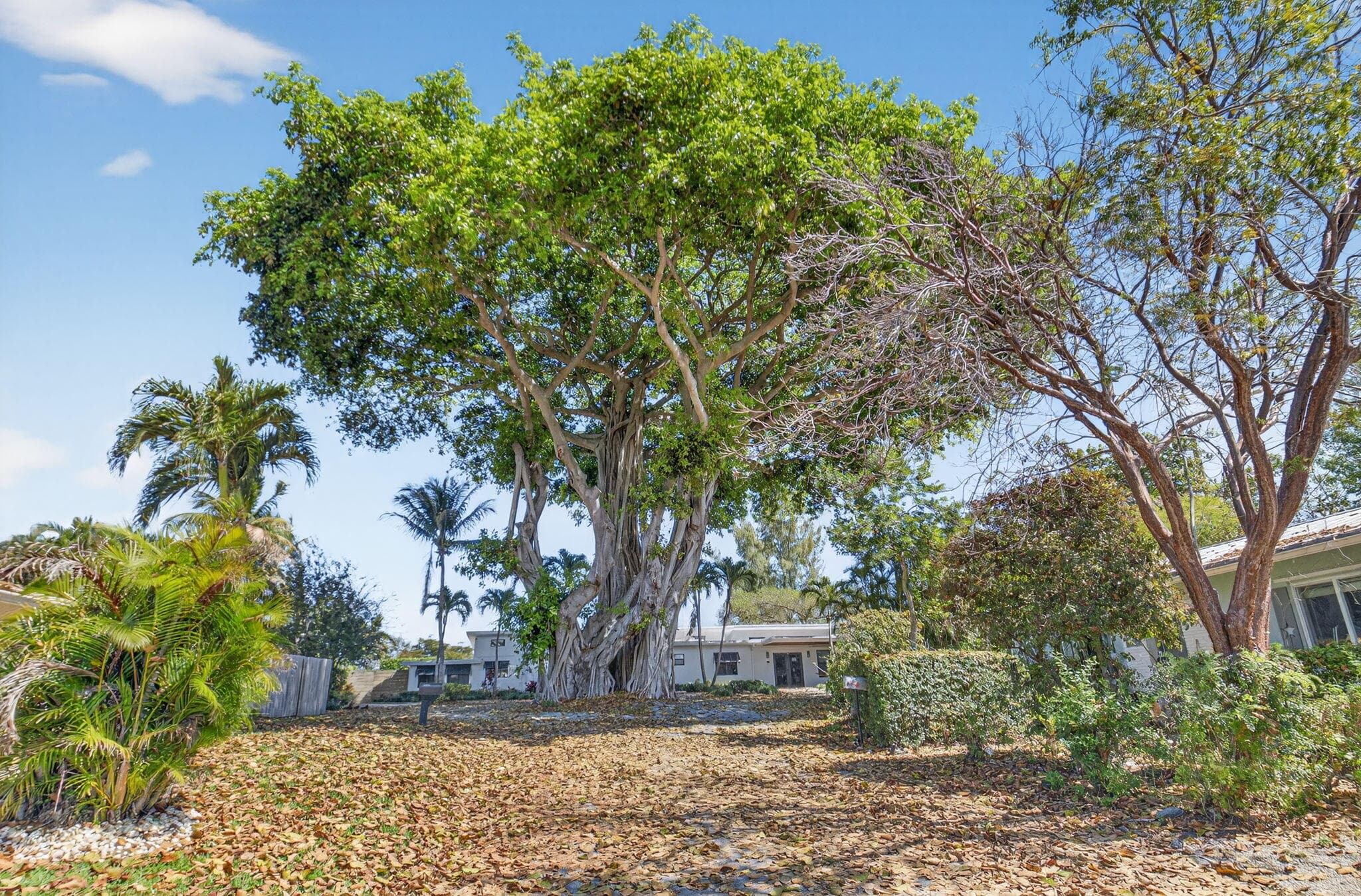 245 Seacrest Lane, Delray Beach, FL 33444 — photo 60 of 68