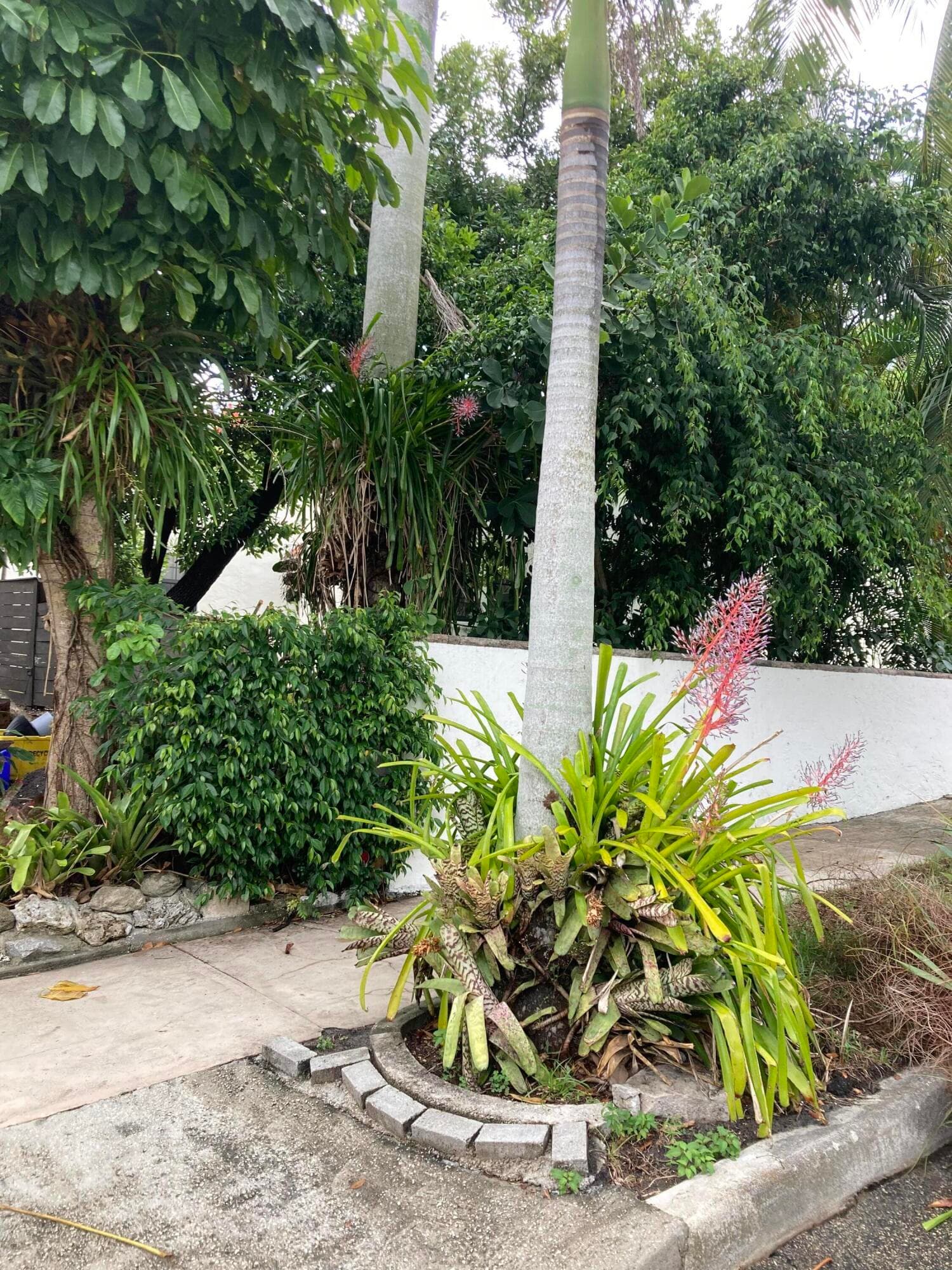 824 35th Street, West Palm Beach, FL 33407 — photo 13 of 37