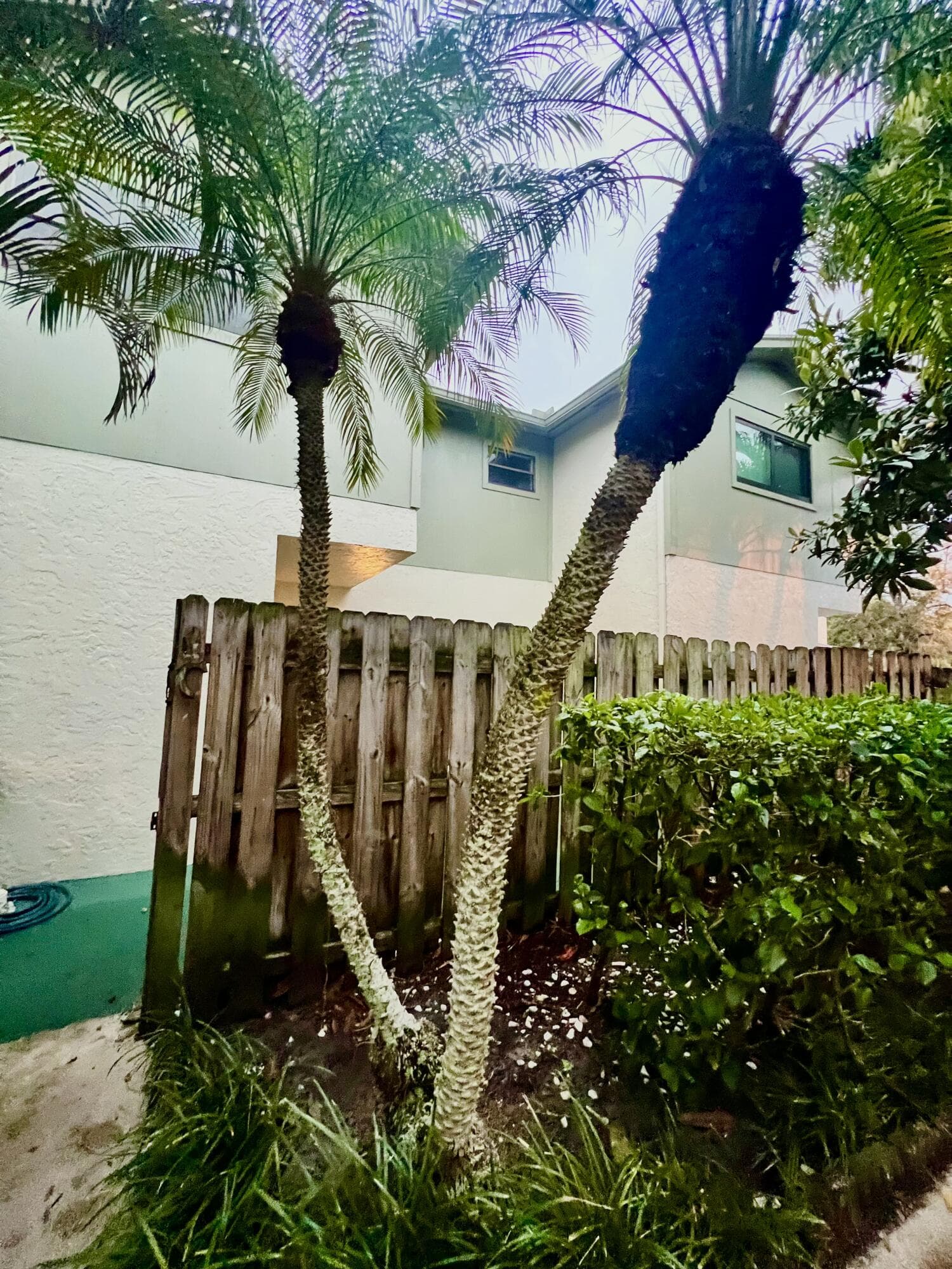 4320 Lilac Street 2c, Palm Beach Gardens, FL 33410 — photo 2 of 13