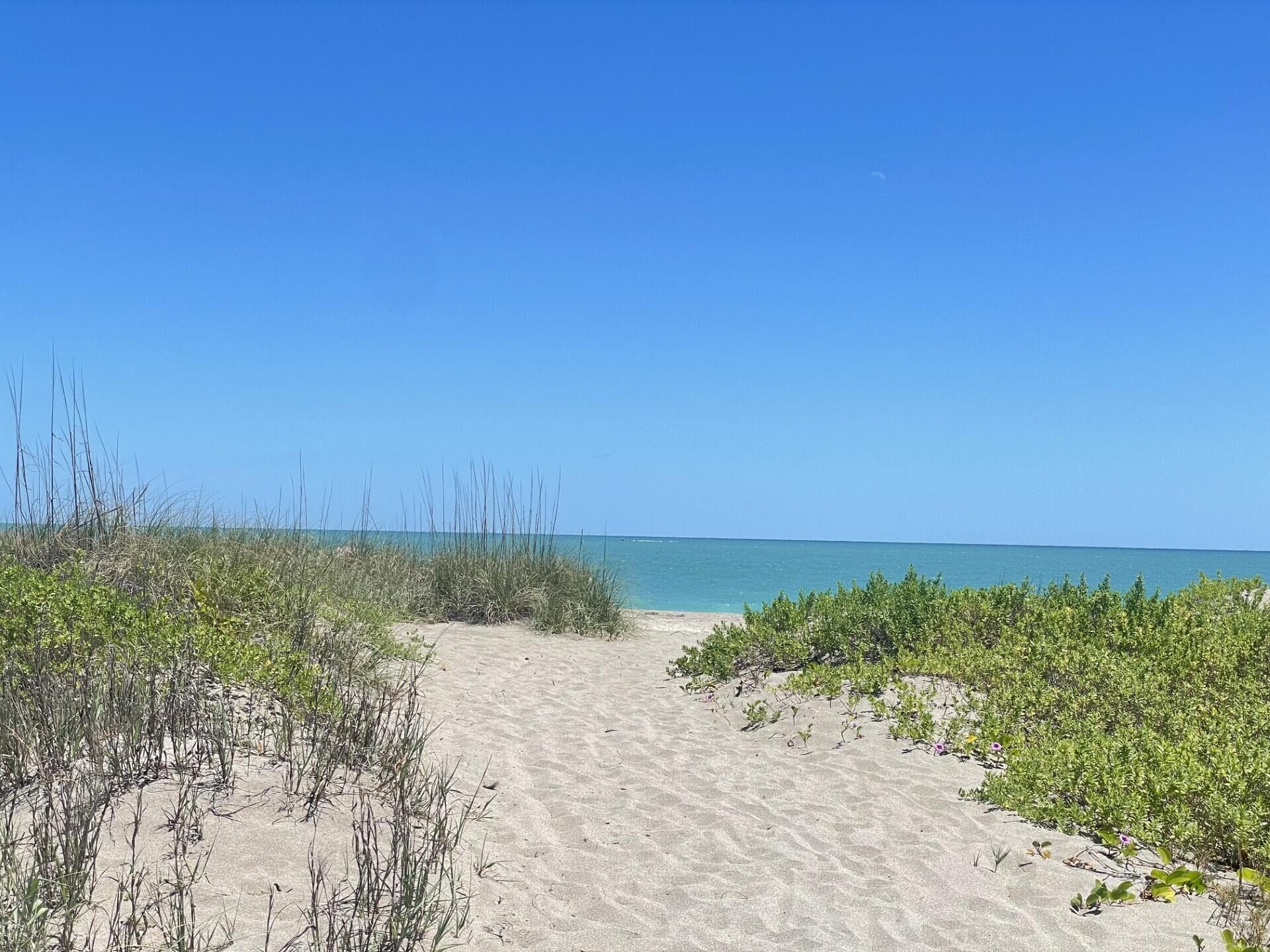 00 Coral Circle, Hutchinson Island, FL 34949 — photo 11 of 16