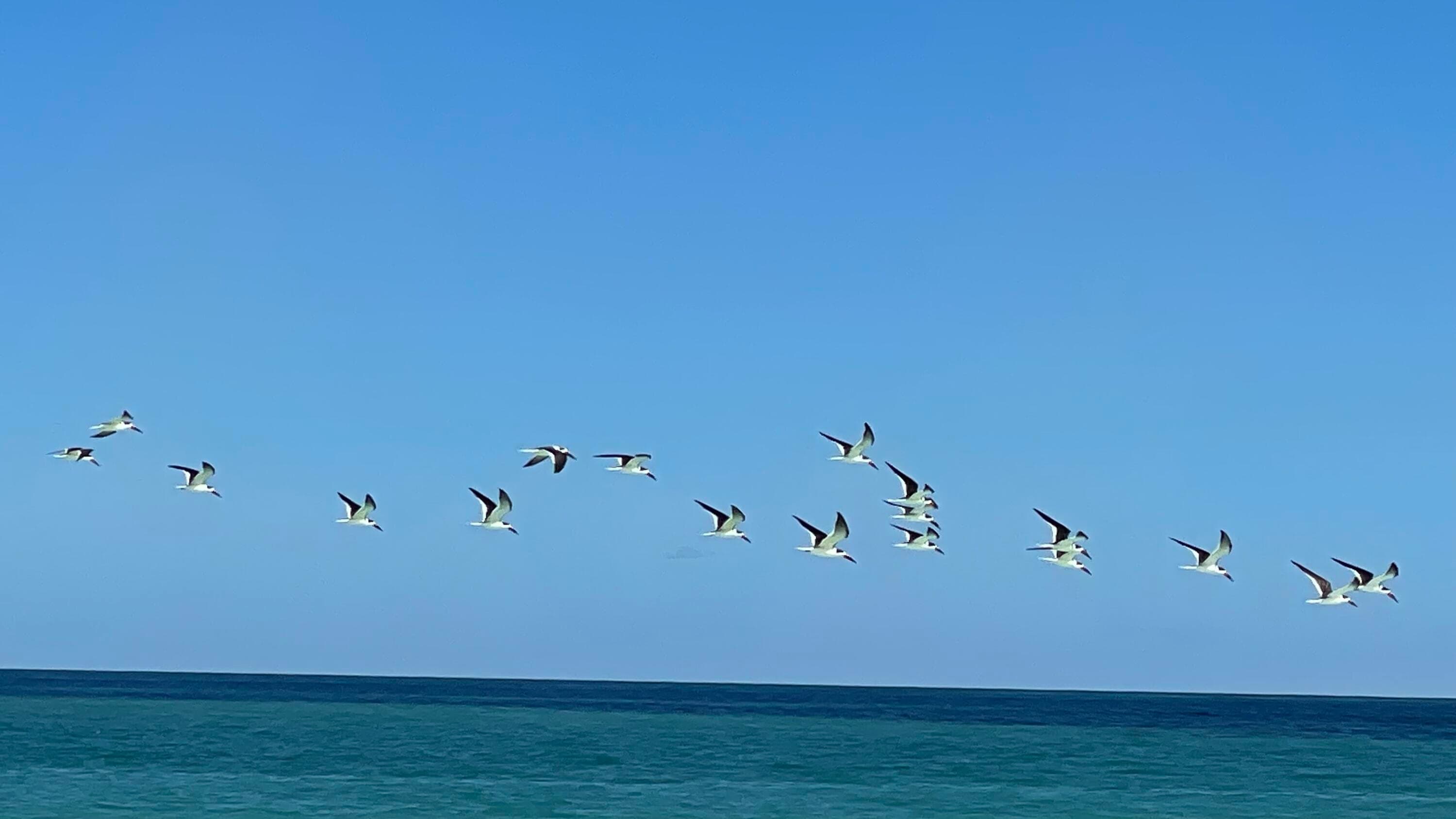 00 Coral Circle, Hutchinson Island, FL 34949 — photo 13 of 16