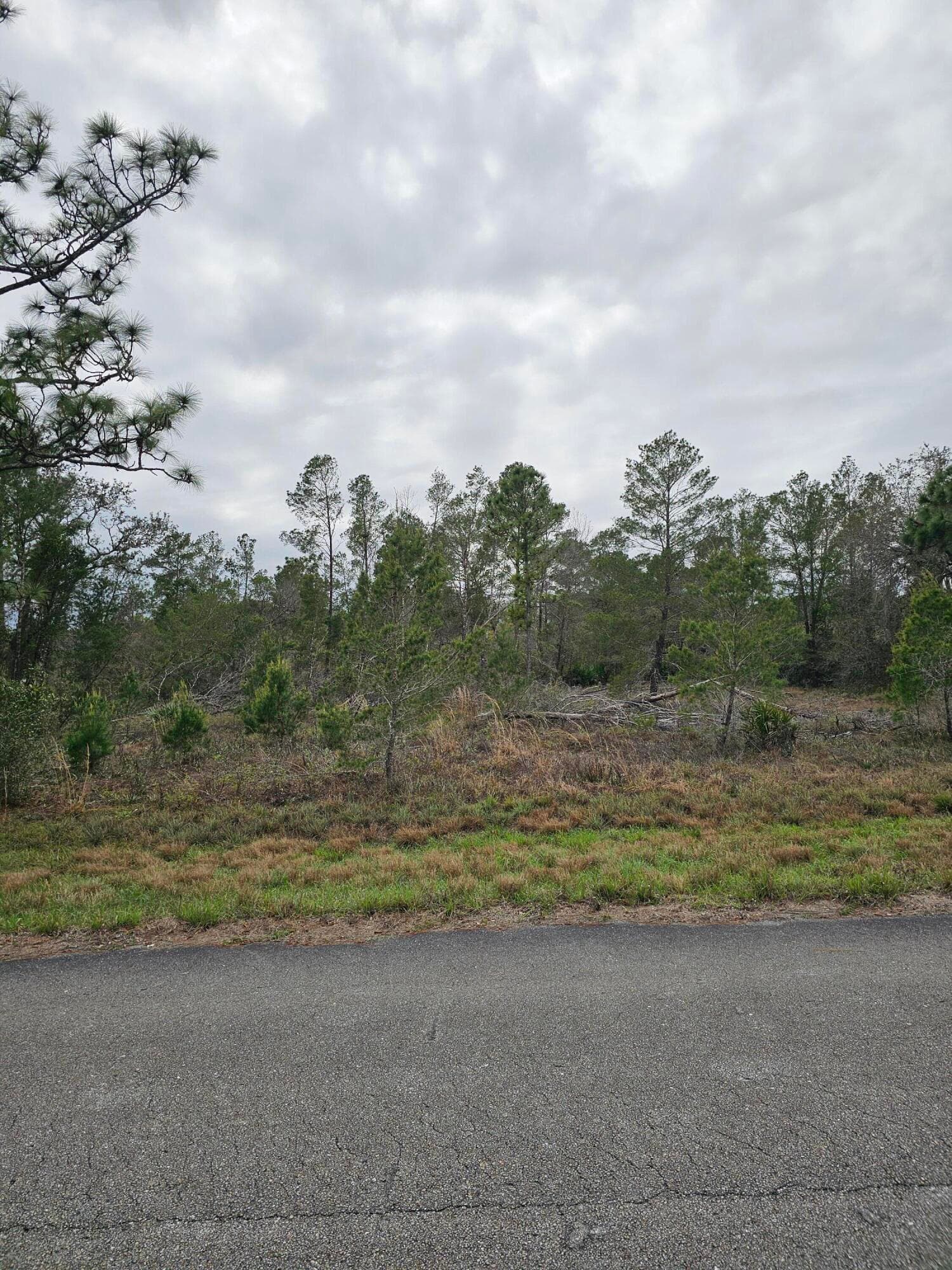 35485 NE 7th Drive, Okeechobee, FL 34972 — photo 3 of 35