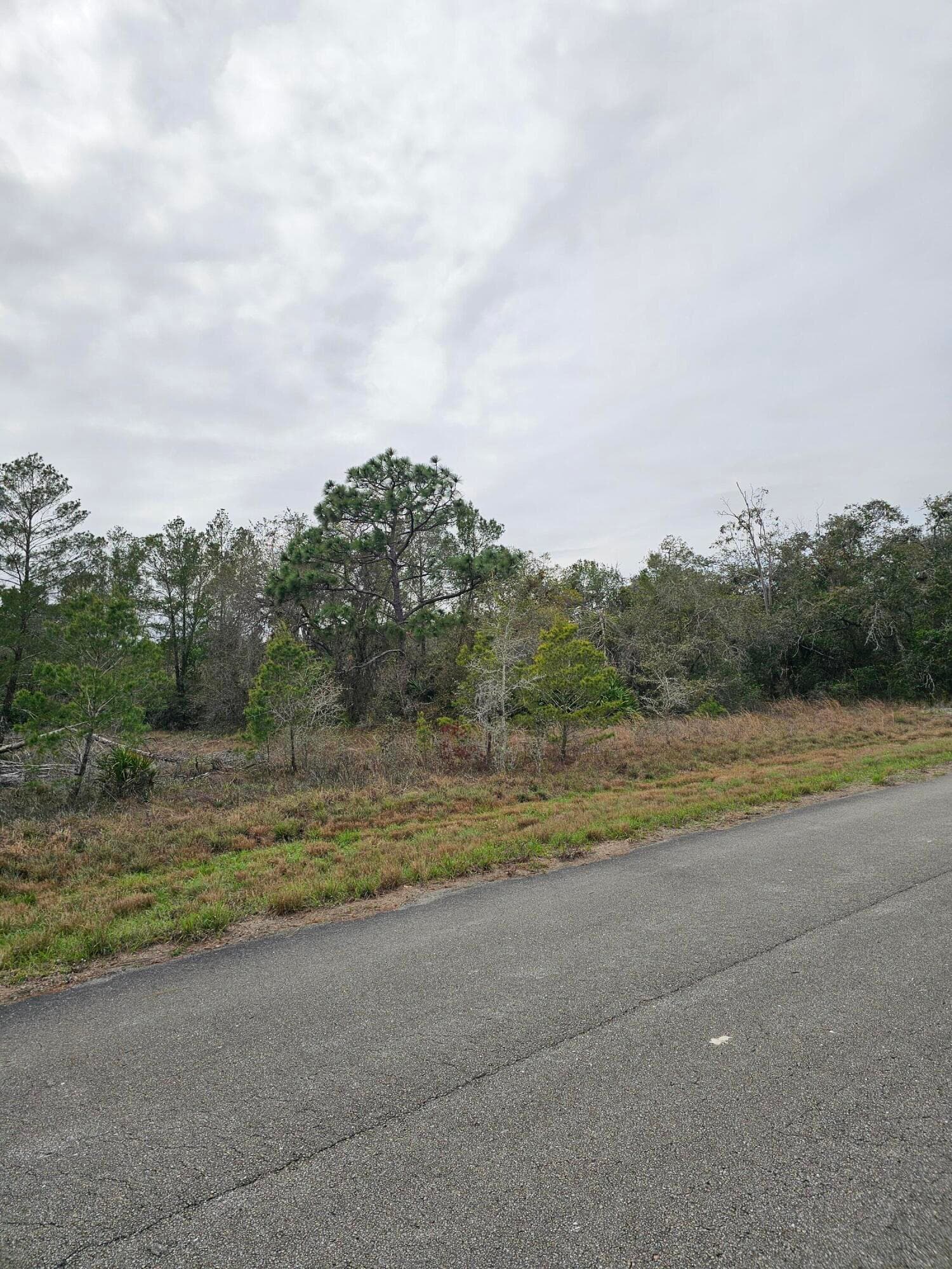35485 NE 7th Drive, Okeechobee, FL 34972 — photo 4 of 35