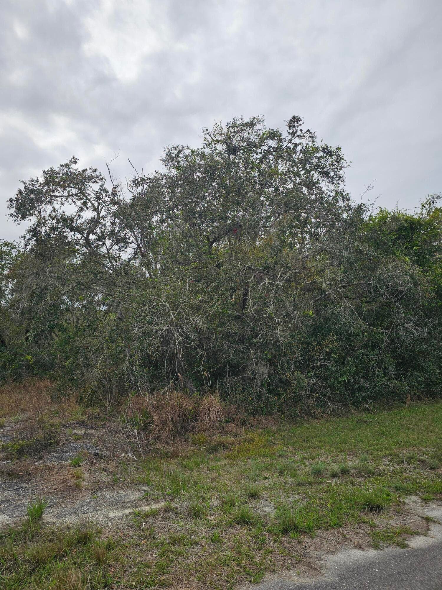 35485 NE 7th Drive, Okeechobee, FL 34972 — photo 6 of 35