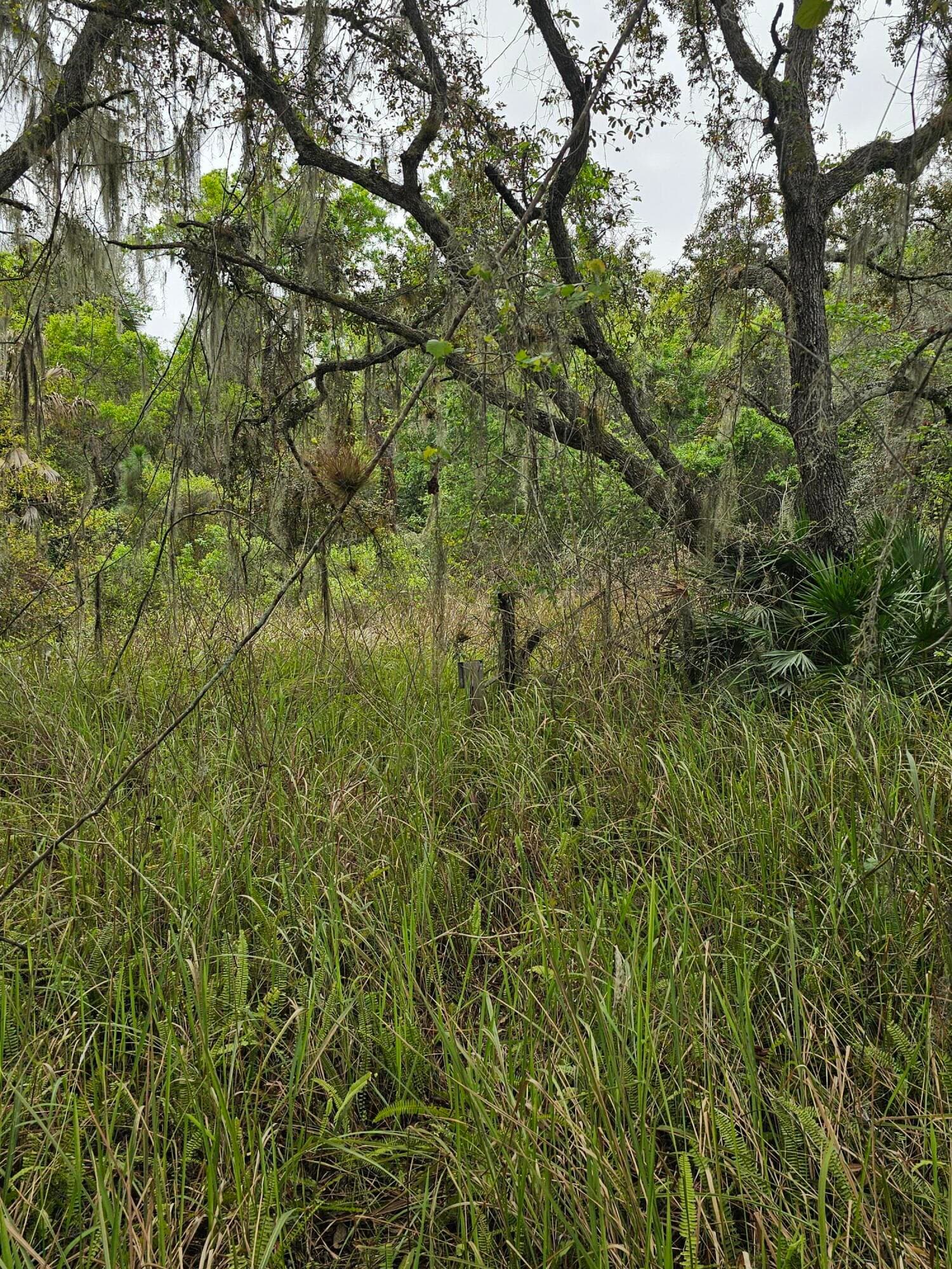 35485 NE 7th Drive, Okeechobee, FL 34972 — photo 16 of 35