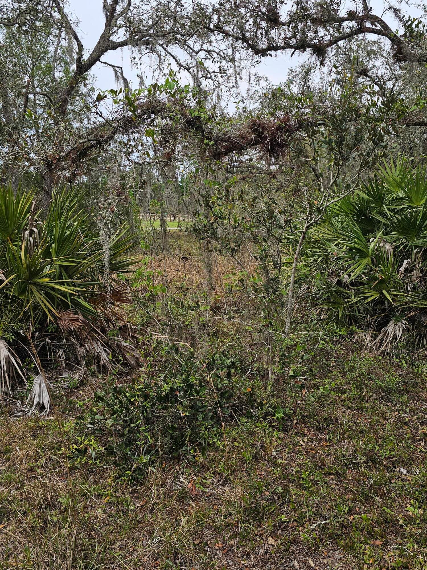 35485 NE 7th Drive, Okeechobee, FL 34972 — photo 27 of 35
