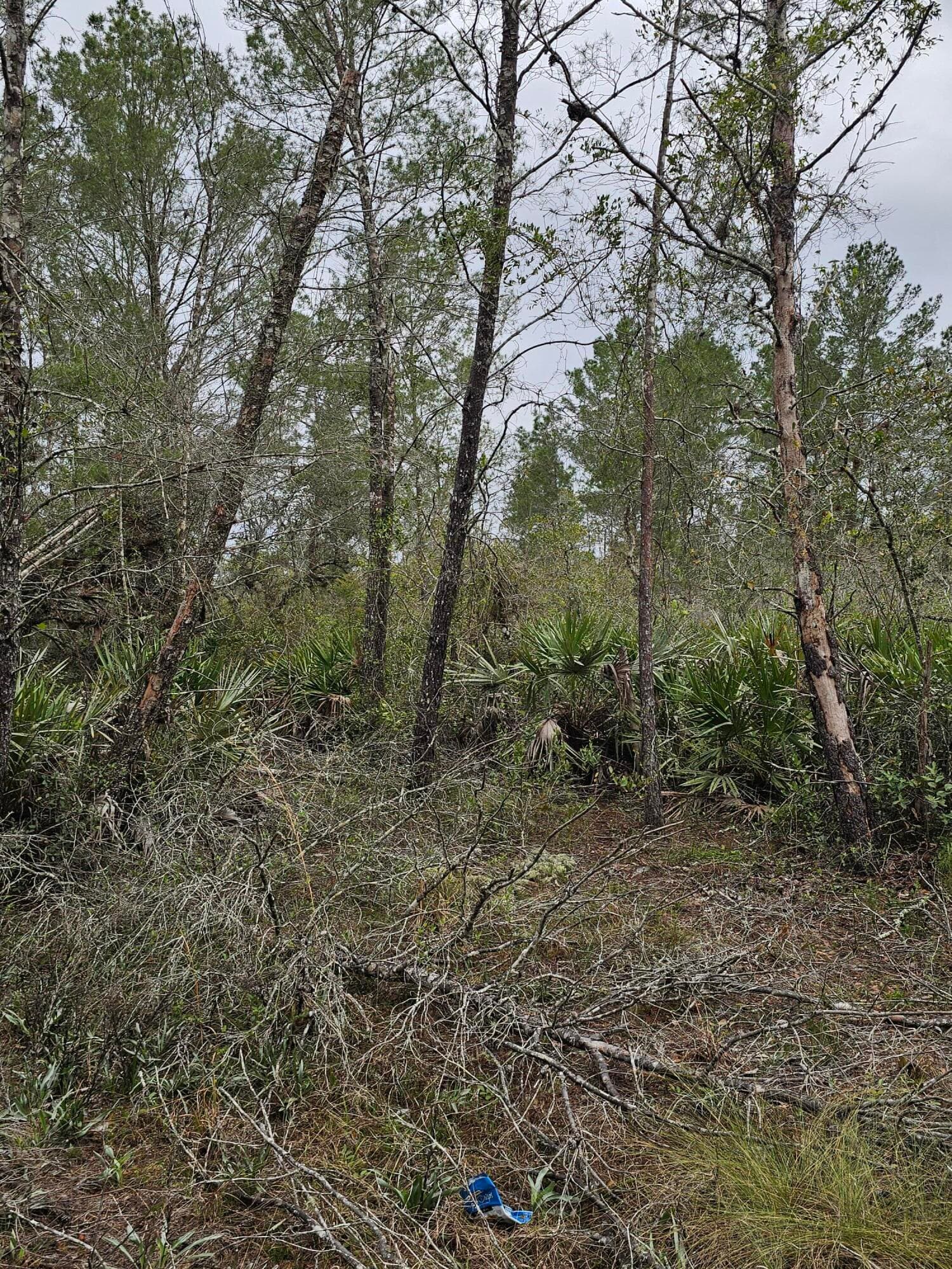 35485 NE 7th Drive, Okeechobee, FL 34972 — photo 26 of 35