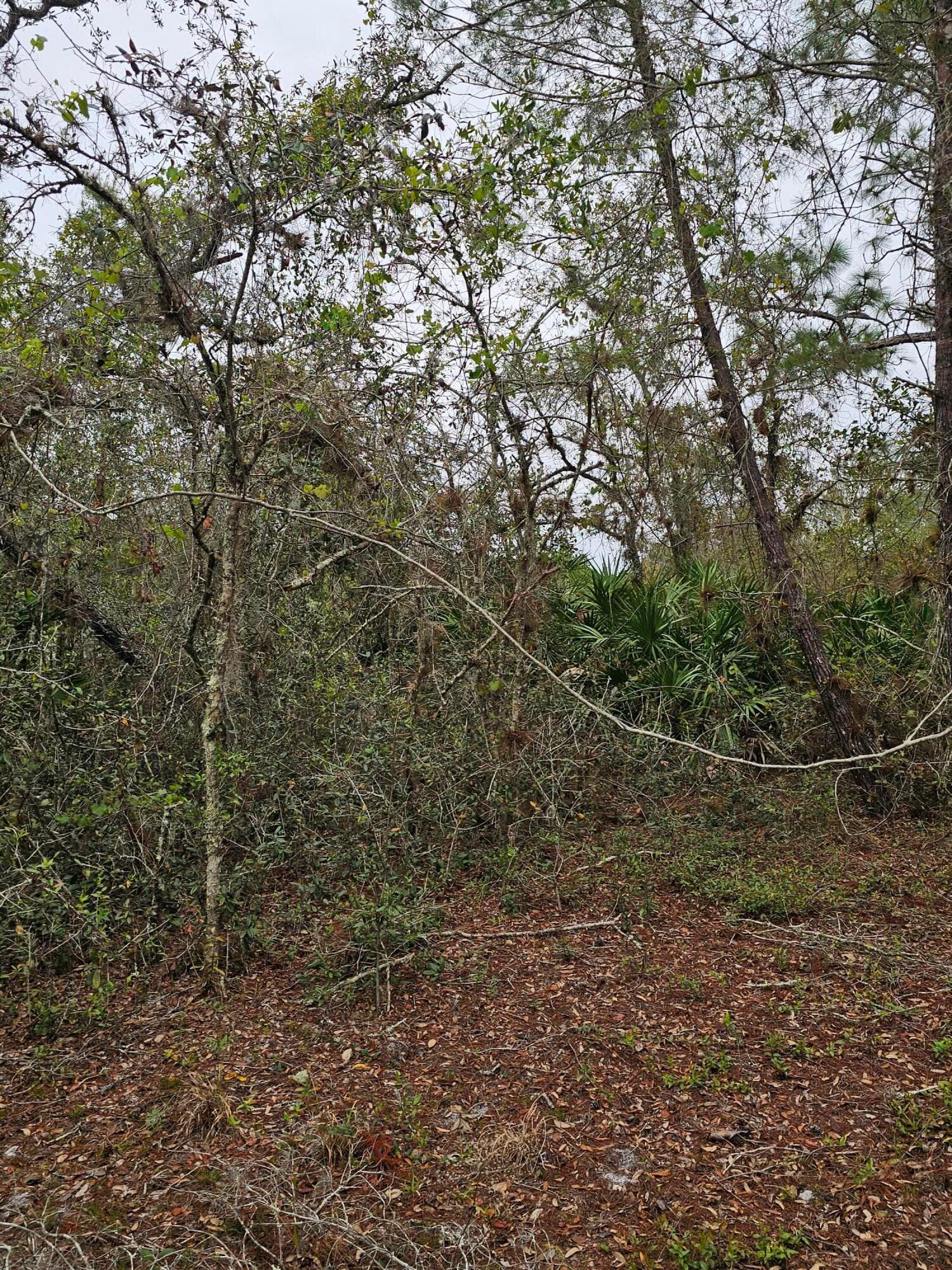 35485 NE 7th Drive, Okeechobee, FL 34972 — photo 29 of 35