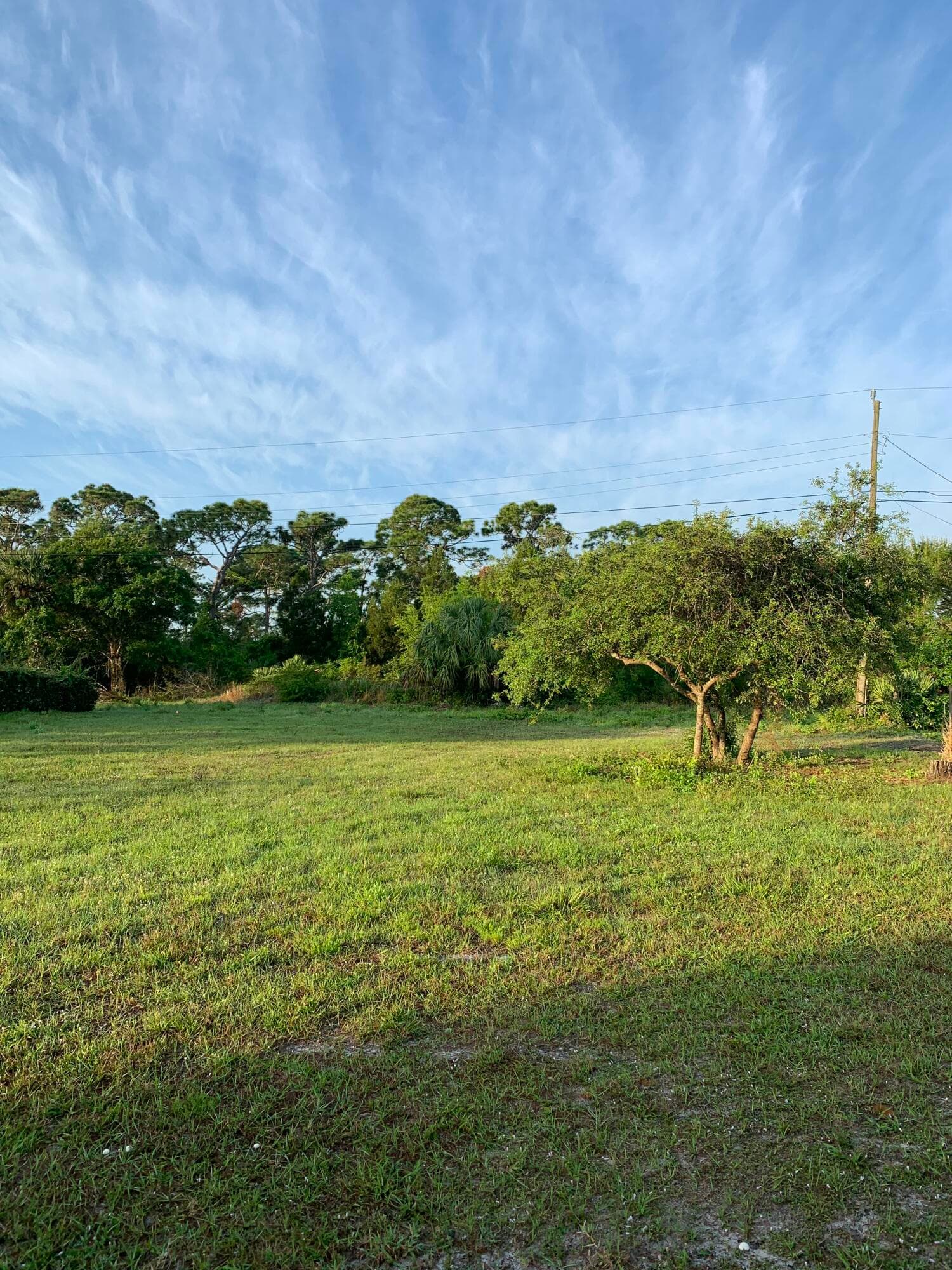 8065 126th Street, Sebastian, FL 32958 — photo 4 of 14