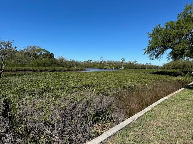 5637 Decatur Drive, New Port Richey, FL 34652 — photo 52 of 65