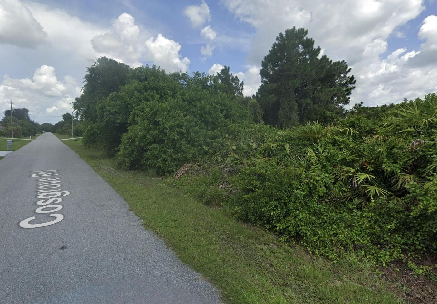Tbd Cosgrove Road, Venice, FL 34291 — photo 2 of 5