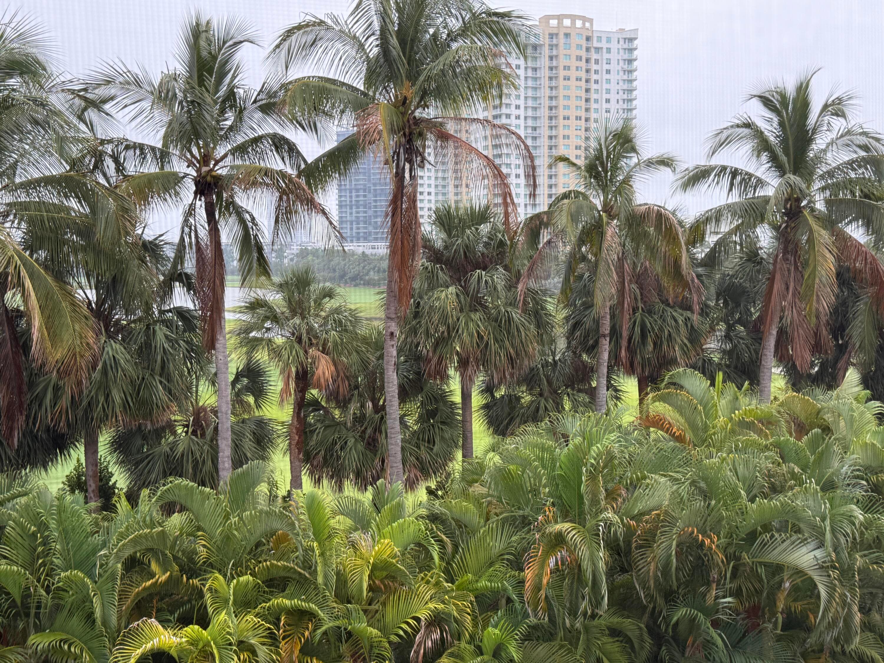 300 NE 14th Avenue 411, Hallandale Beach, FL 33009 — photo 14 of 45