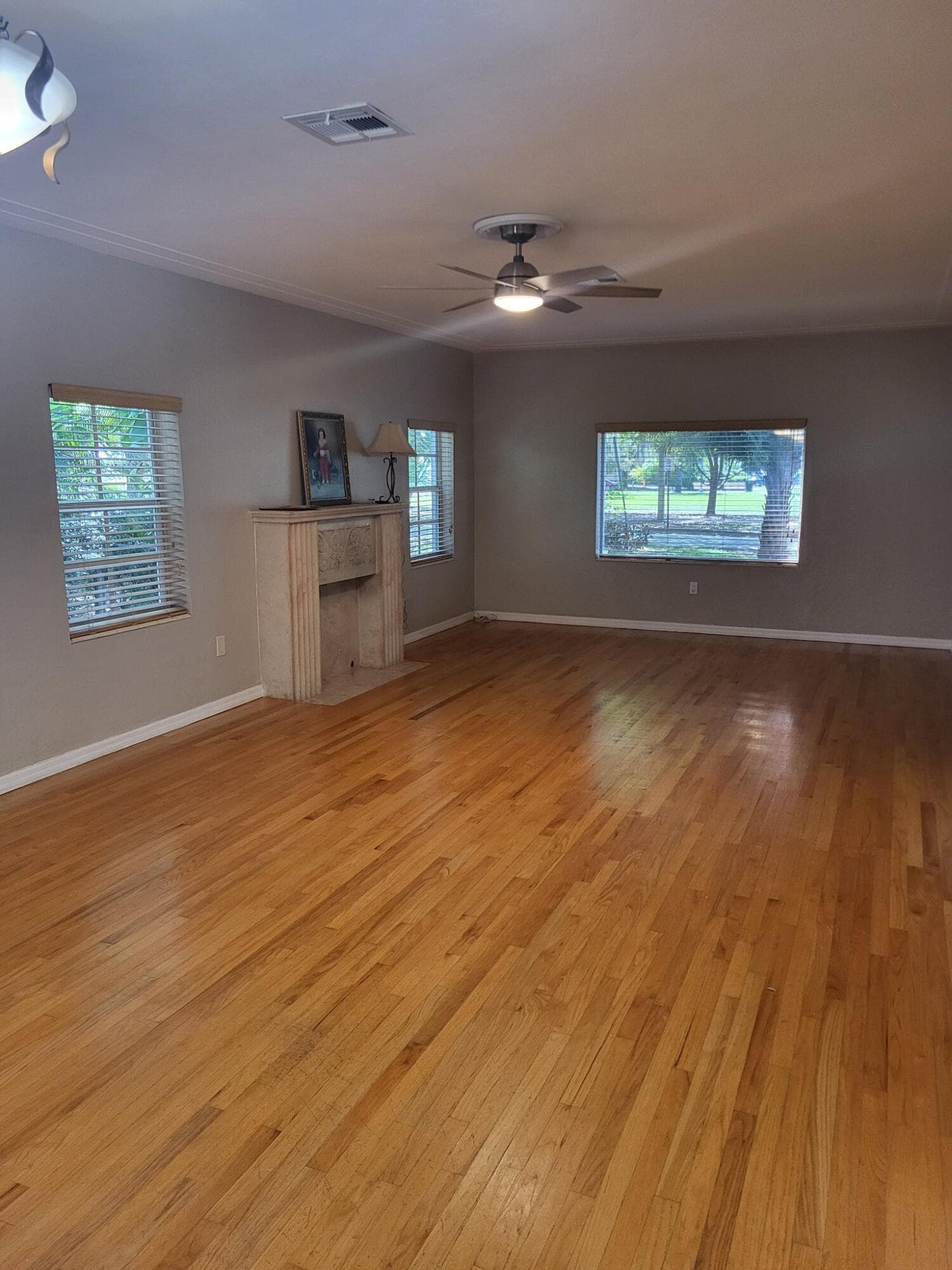 6625 Nervia Street, Coral Gables, FL 33146 — photo 2 of 16