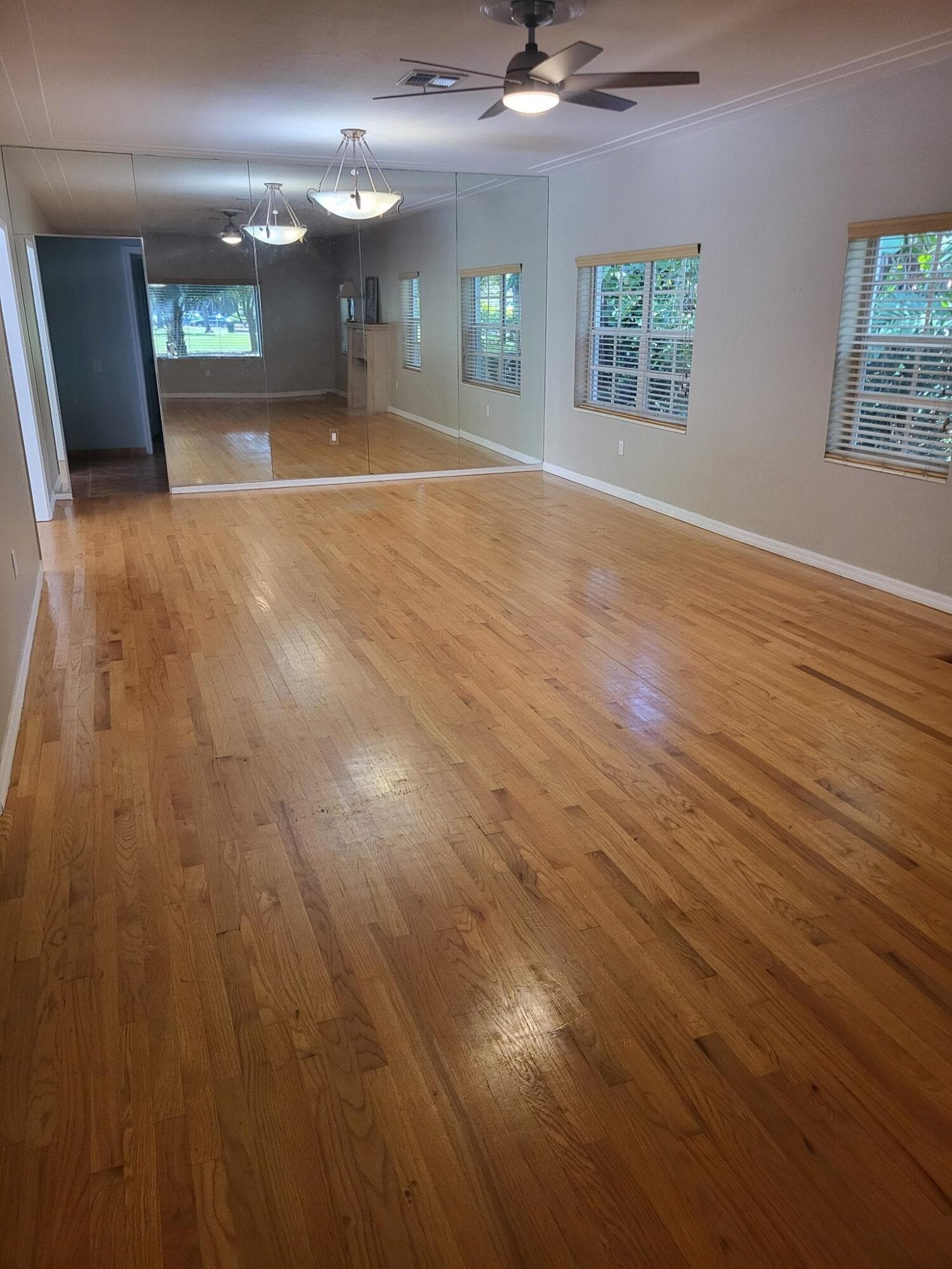 6625 Nervia Street, Coral Gables, FL 33146 — photo 3 of 16
