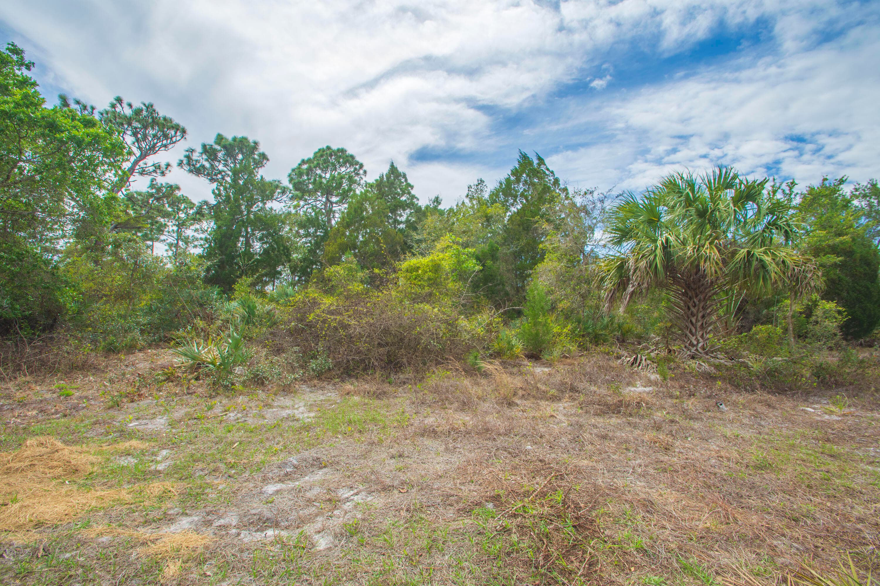 8065 126th Street, Sebastian, FL 32958 — photo 6 of 14