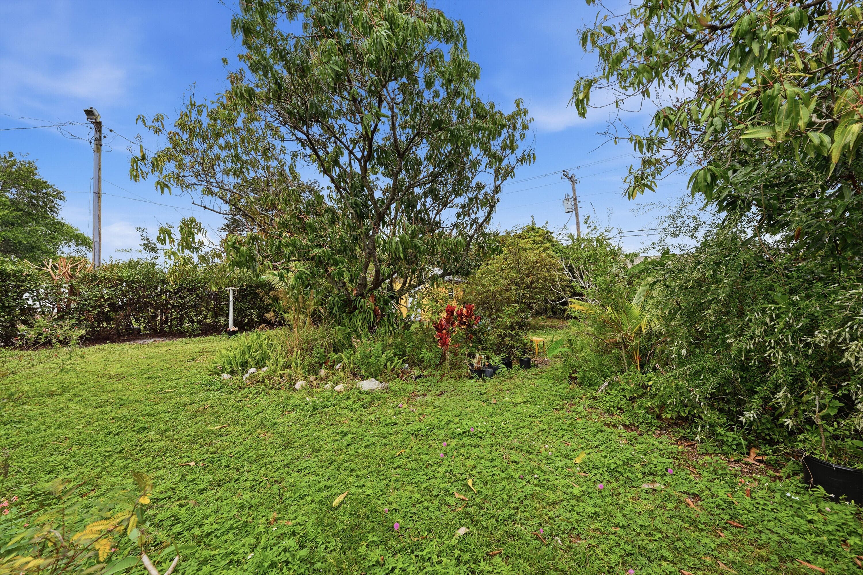 2703 Fillmore Street, Hollywood, FL 33020 — photo 33 of 46