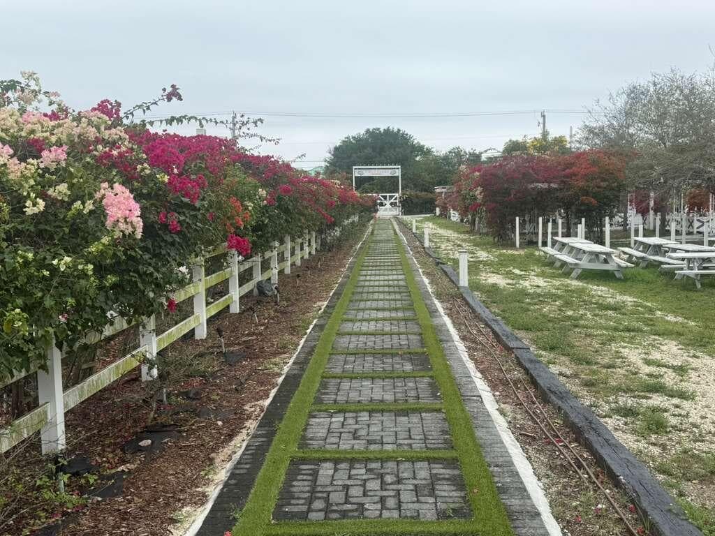 4680 SW 148th Avenue, Southwest Ranches, FL 33331 — photo 4 of 15
