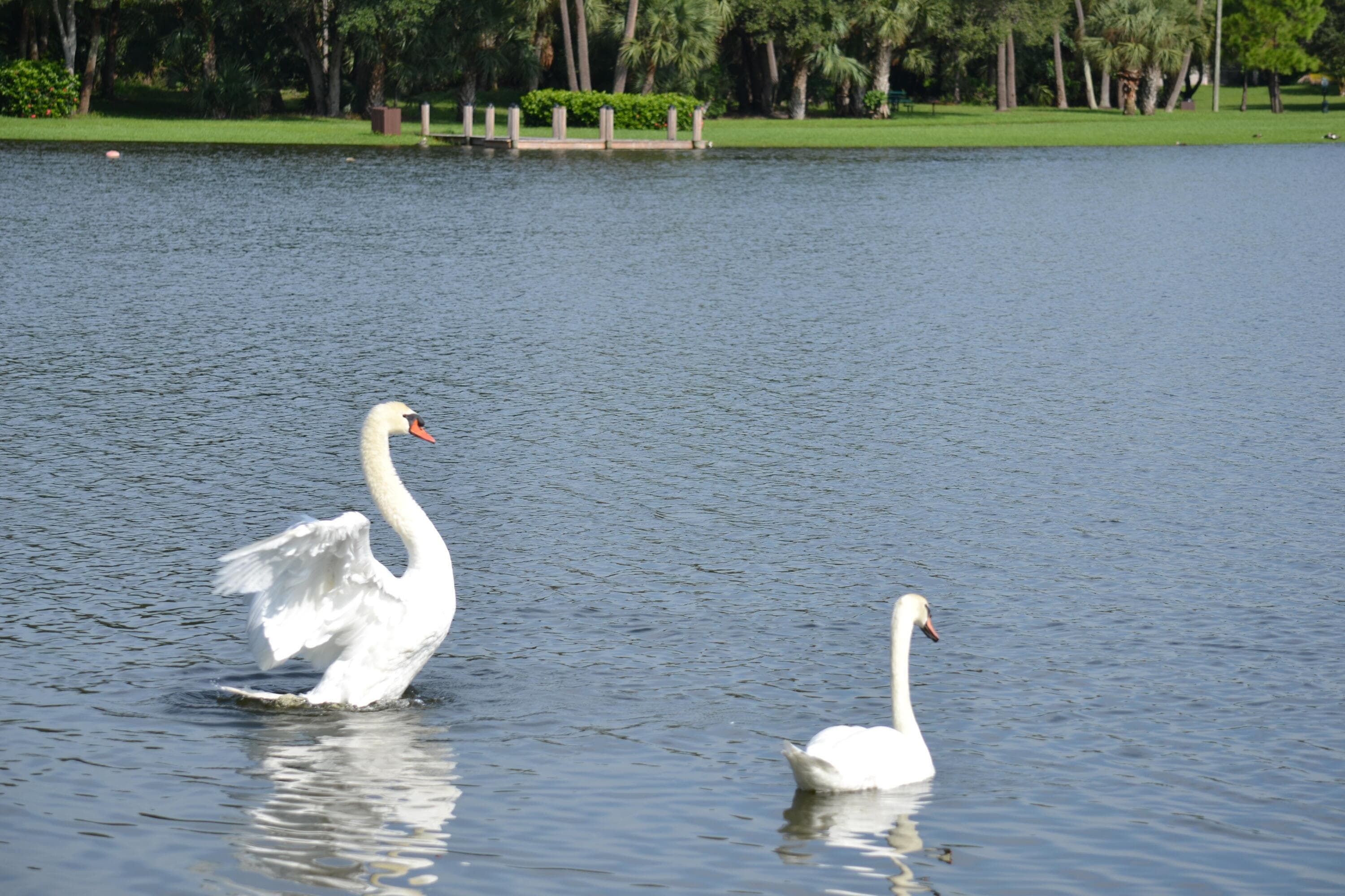 3129 Millwood Terrace 1380, Boca Raton, FL 33431 — photo 19 of 29