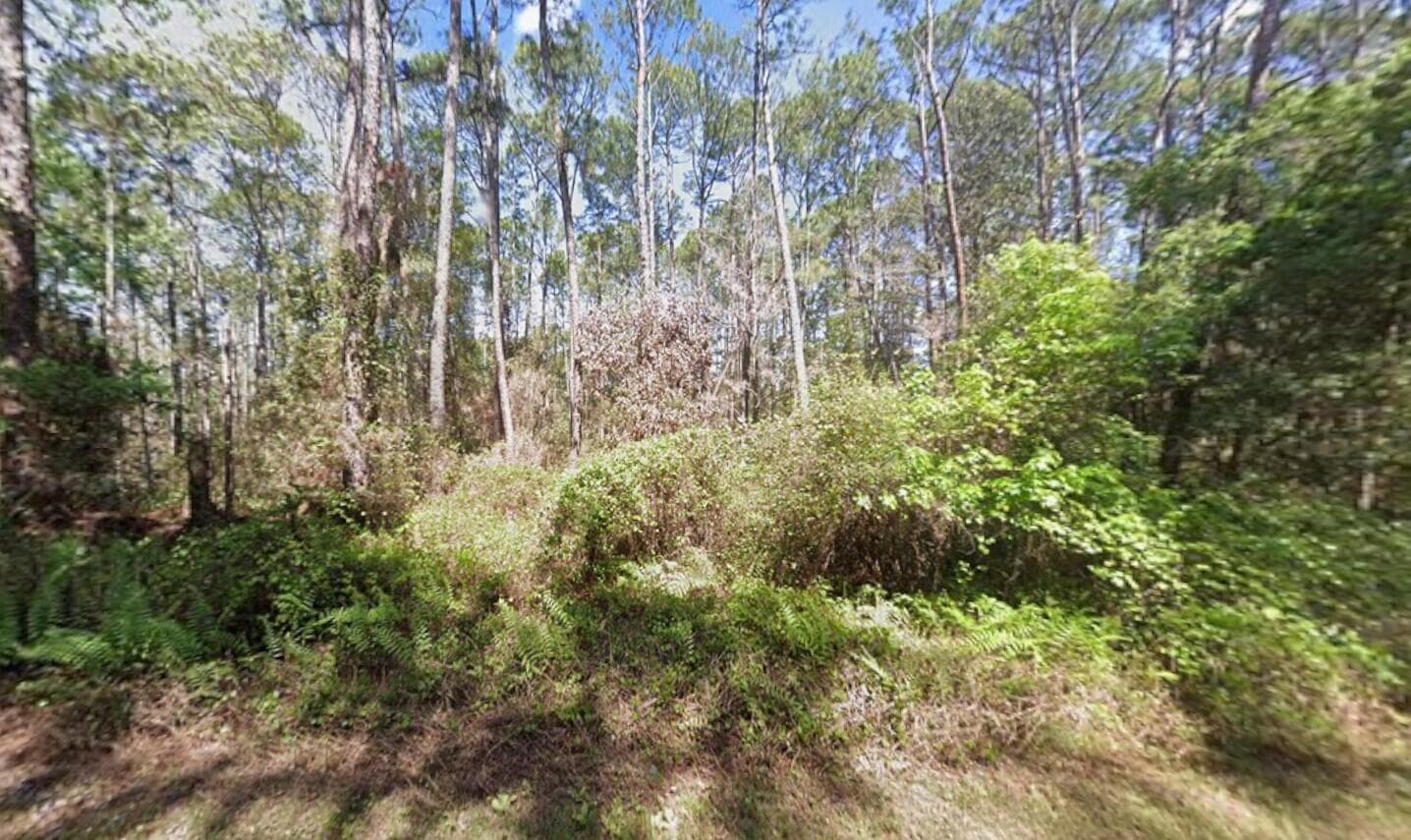 416 Palm Way, Georgetown, FL 32139 — photo