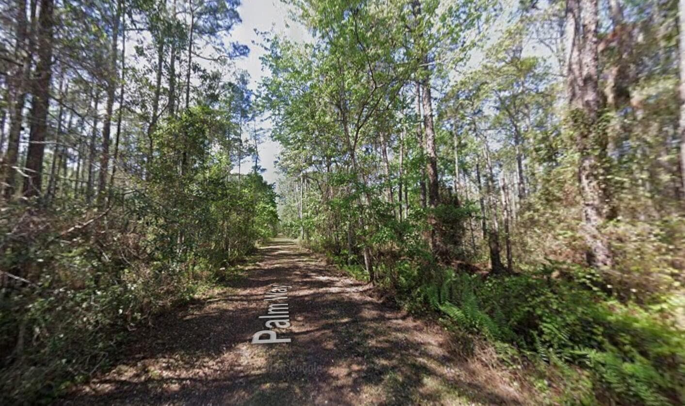 416 Palm Way, Georgetown, FL 32139 — photo 2 of 3