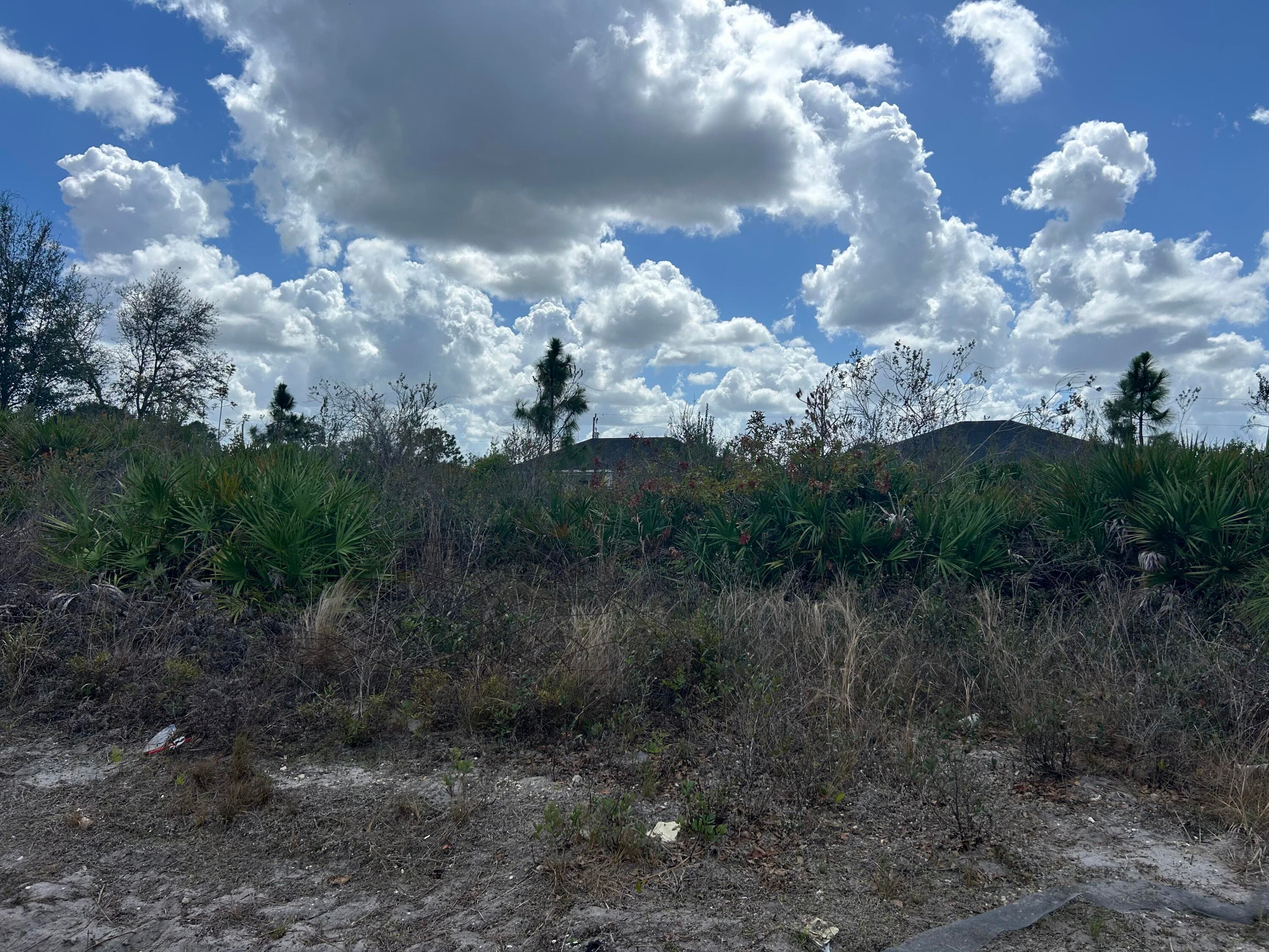 3205 8th Street W, Lehigh Acres, FL 33971 — photo 3 of 3