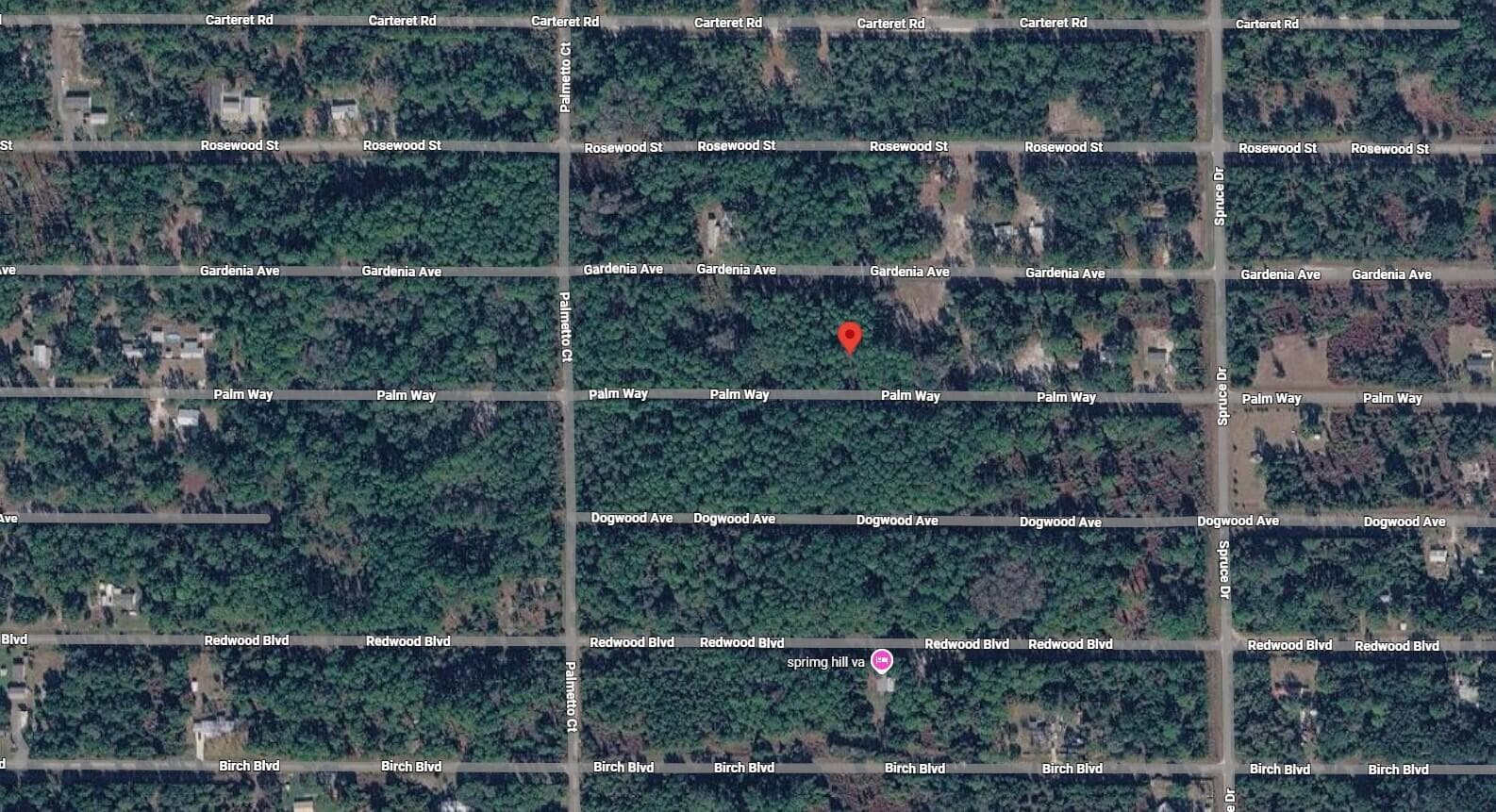 418 Palm Way, Georgetown, FL 32139 — photo 3 of 3