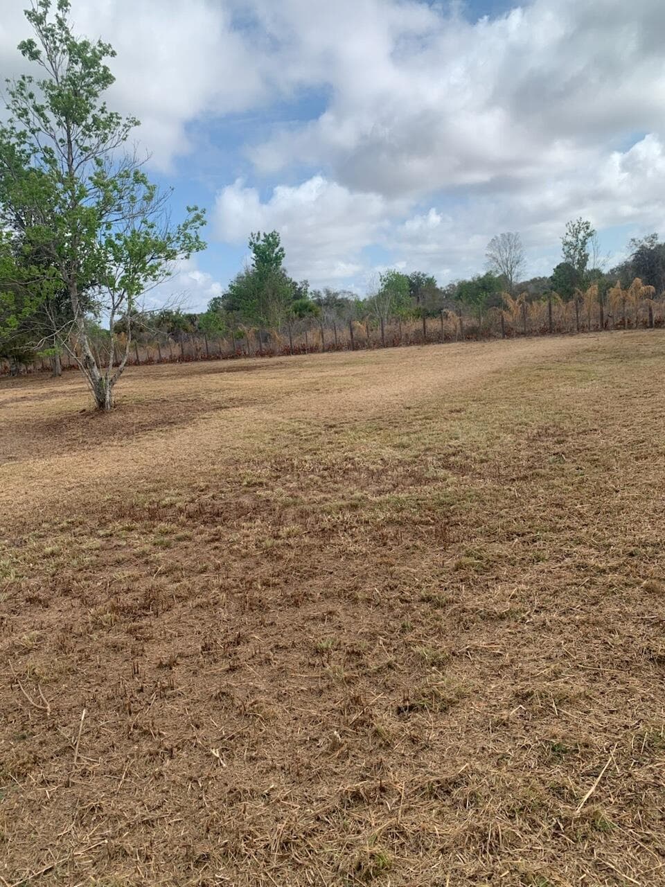 17231 NW 268th Street, Okeechobee, FL 34972 — photo 12 of 22