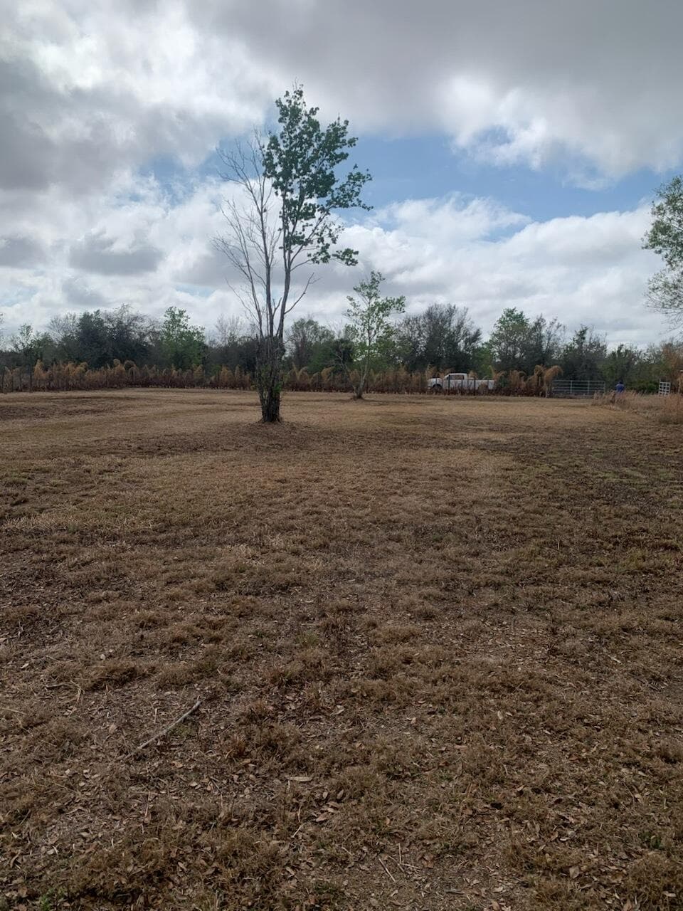 17231 NW 268th Street, Okeechobee, FL 34972 — photo 15 of 22