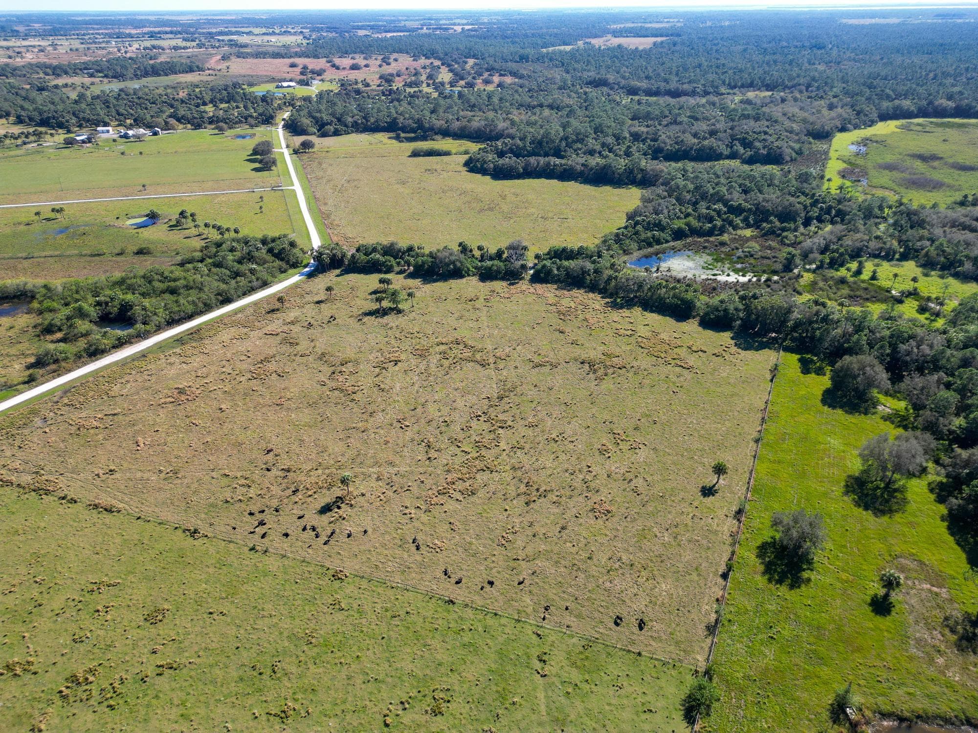 3702 SW Wild Turkey Lane, Okeechobee, FL 34974 — photo 11 of 24