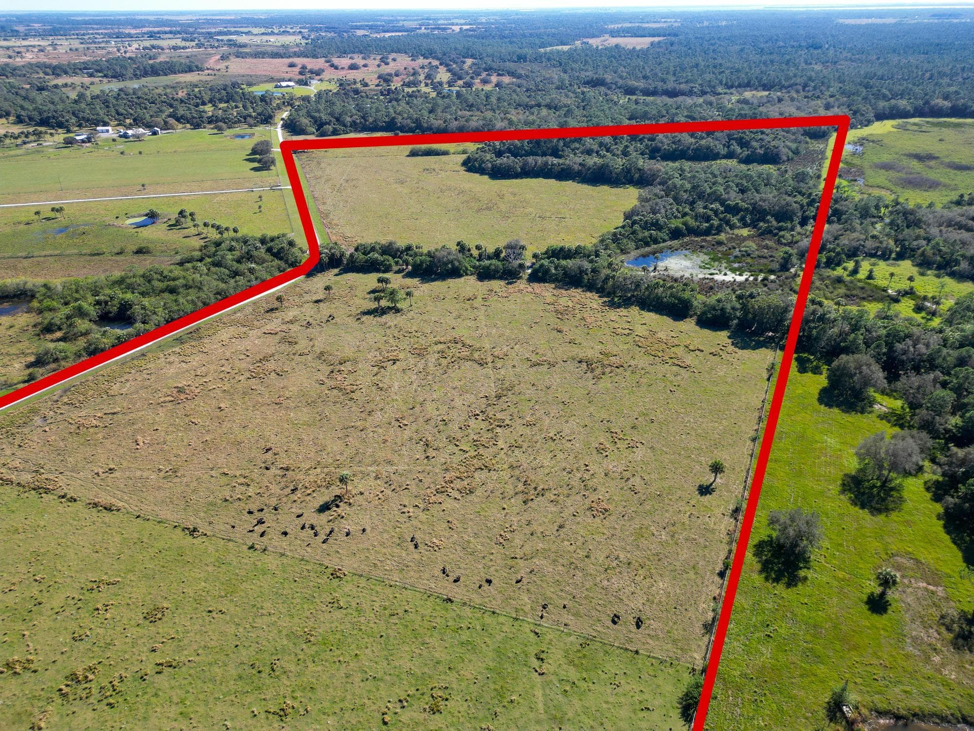 3702 SW Wild Turkey Lane, Okeechobee, FL 34974 — photo 12 of 24
