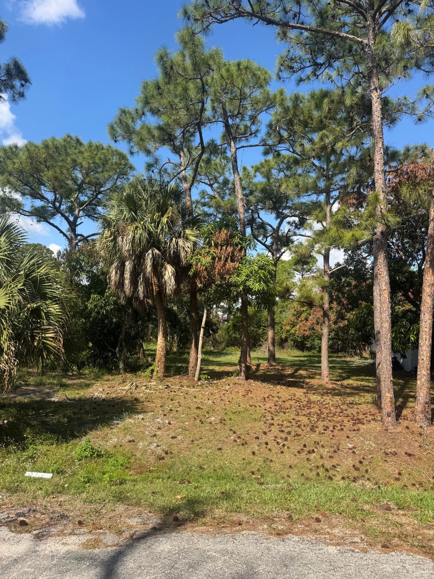 5866 SE Wesley Avenue, Stuart, FL 34997 — photo 2 of 6