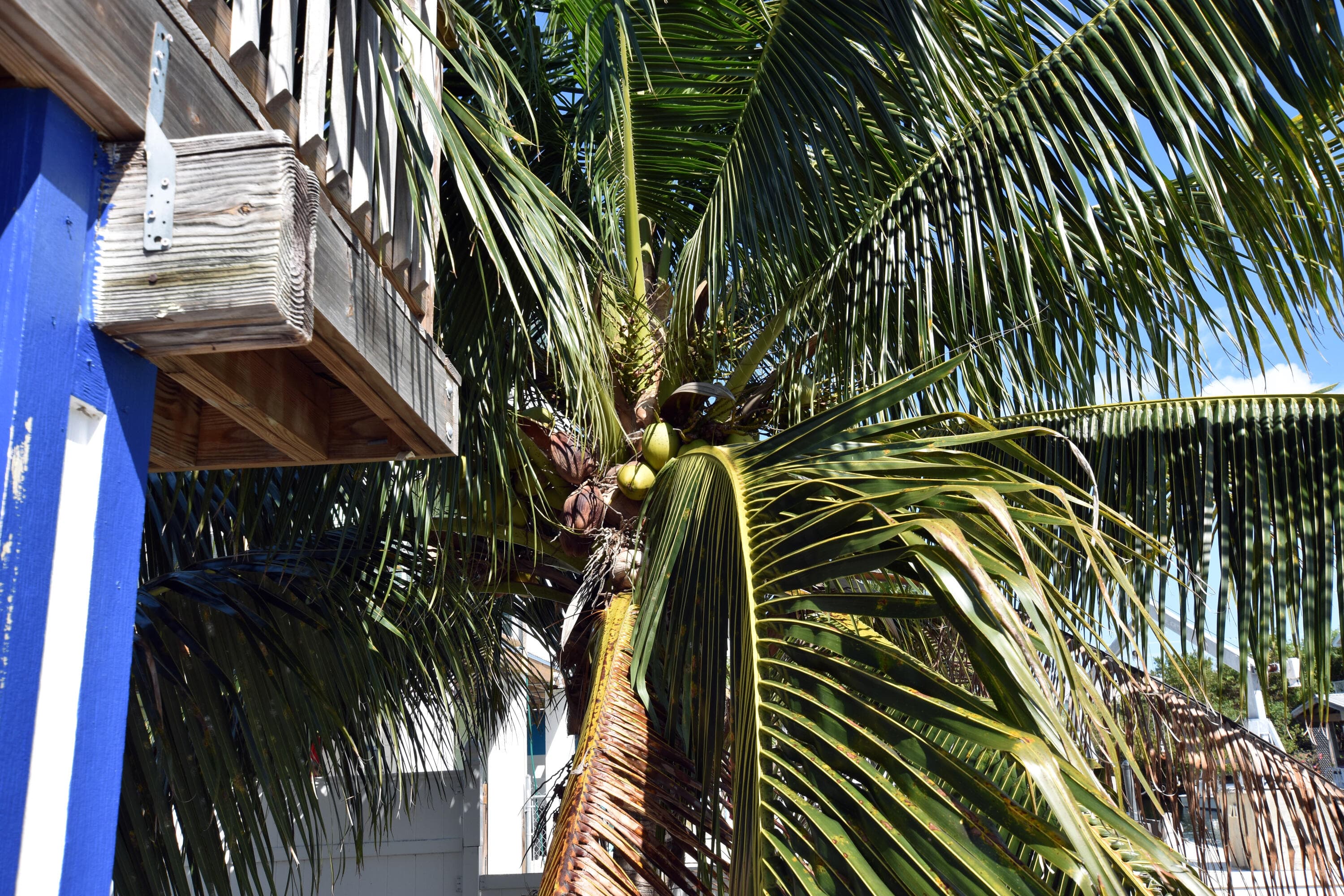22920 Privateer Drive, Cudjoe Key, FL 33042 — photo 15 of 41