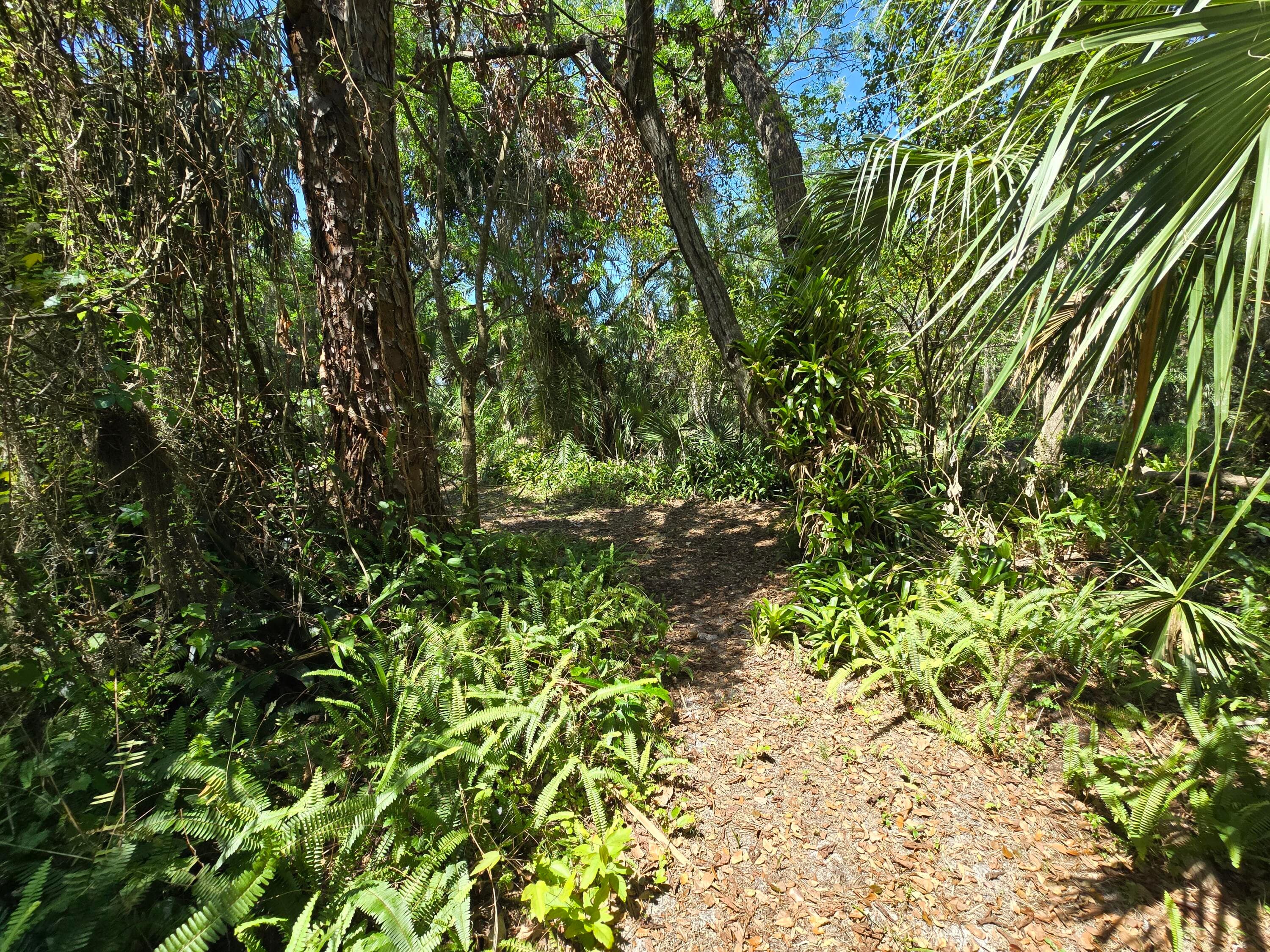 144 N Elm Street, Fellsmere, FL 32948 — photo 10 of 32