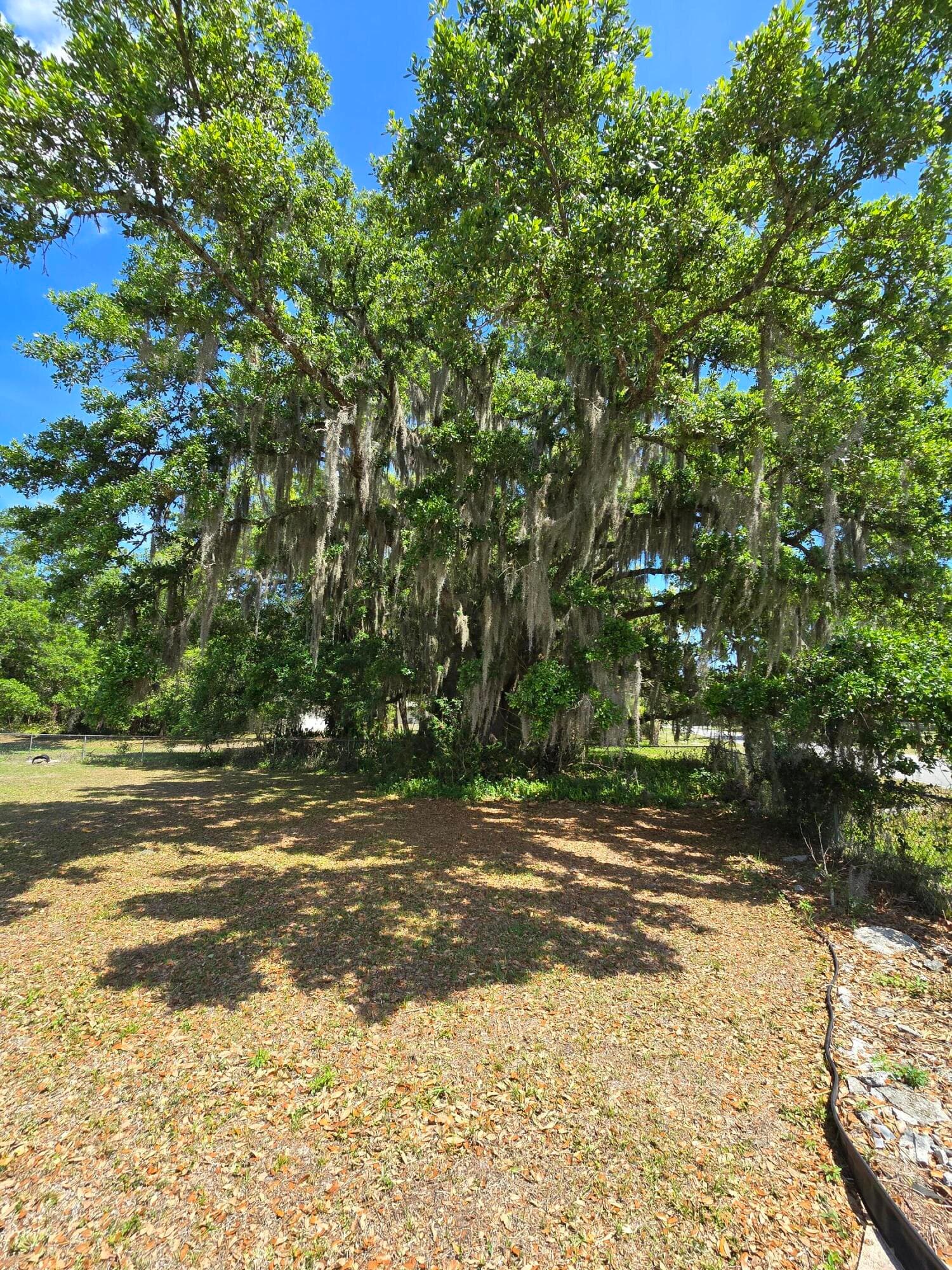 144 N Elm Street, Fellsmere, FL 32948 — photo 6 of 32