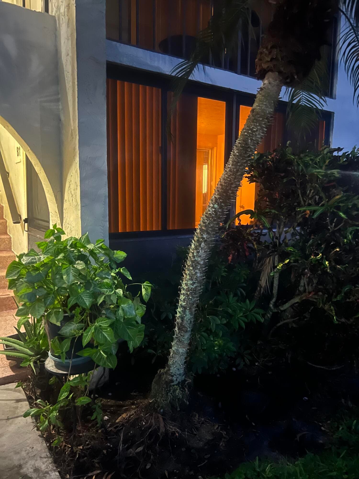4961 Sable Pine Circle B1, West Palm Beach, FL 33417 — photo 14 of 19